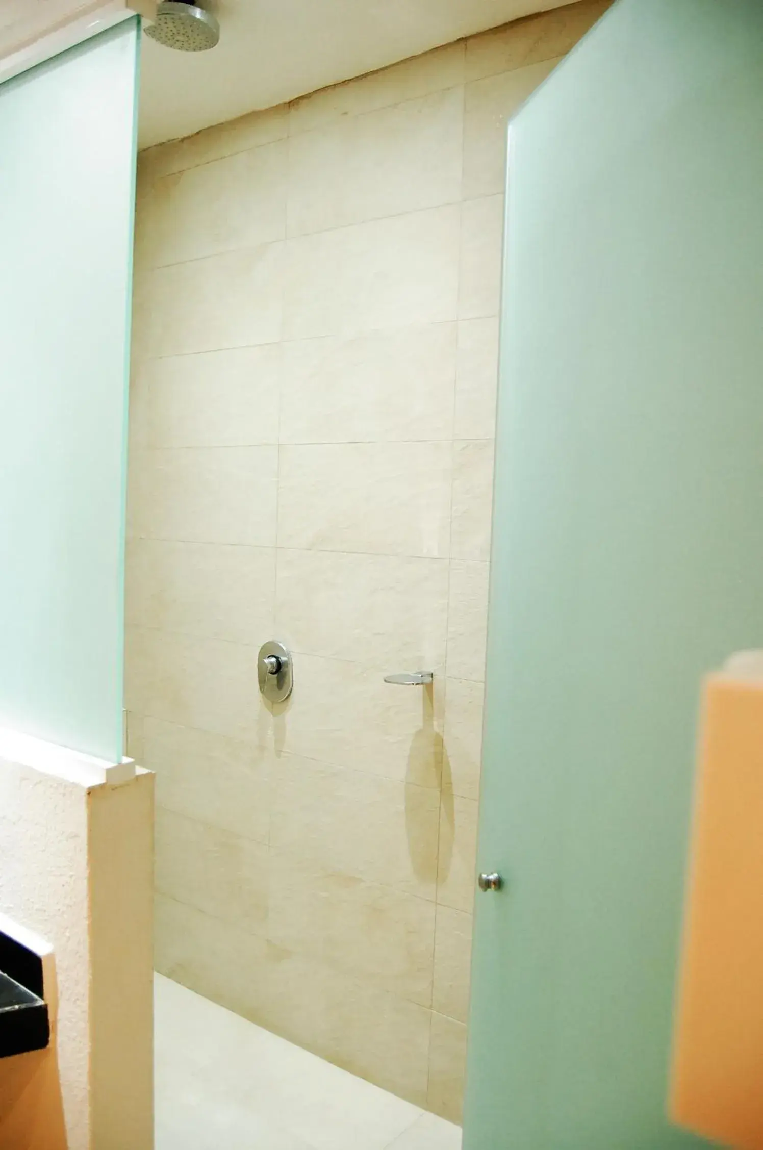 Shower, Bathroom in Hotel Porto Novo