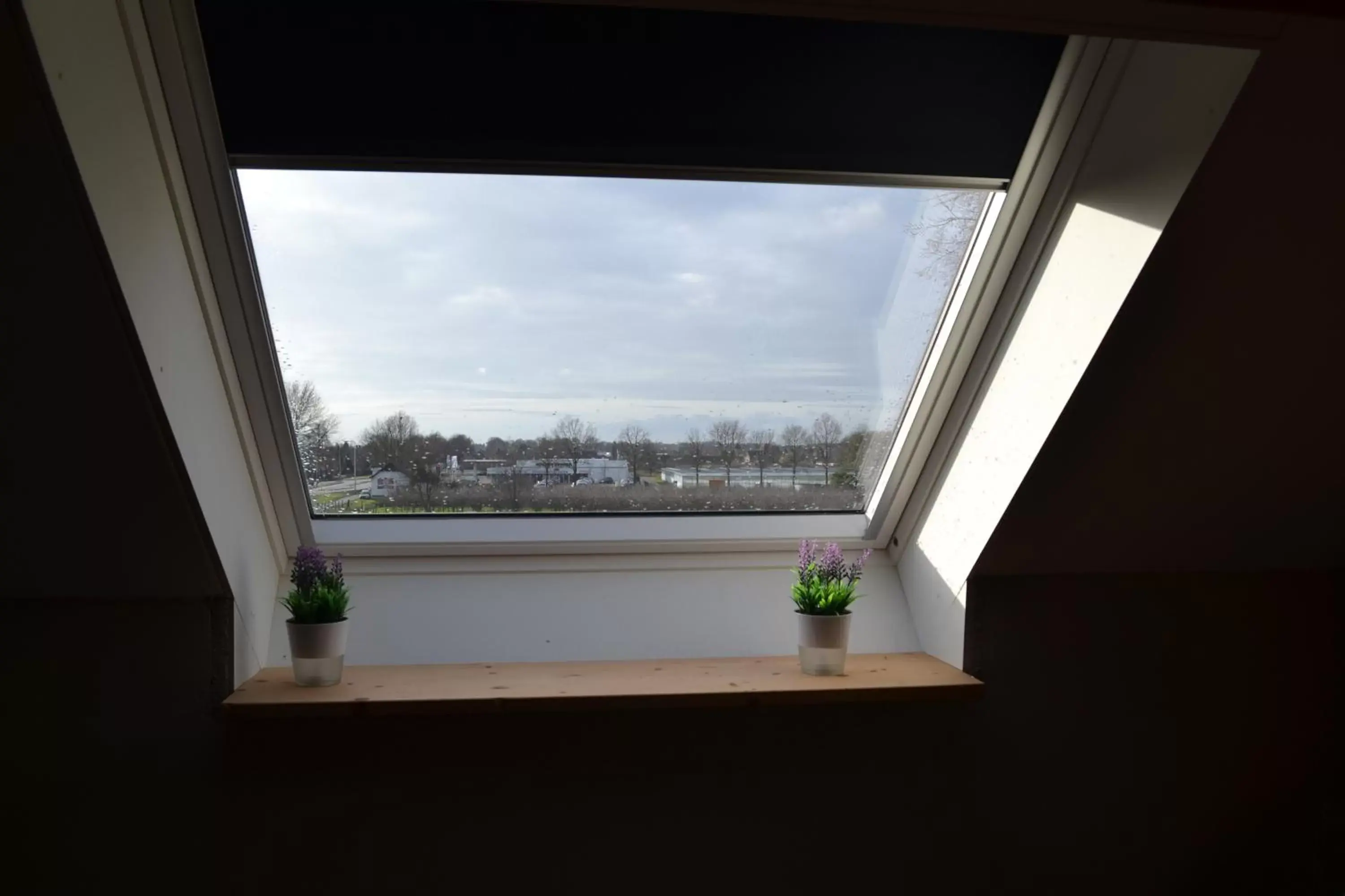 View (from property/room) in B&B Johannes-Hoeve