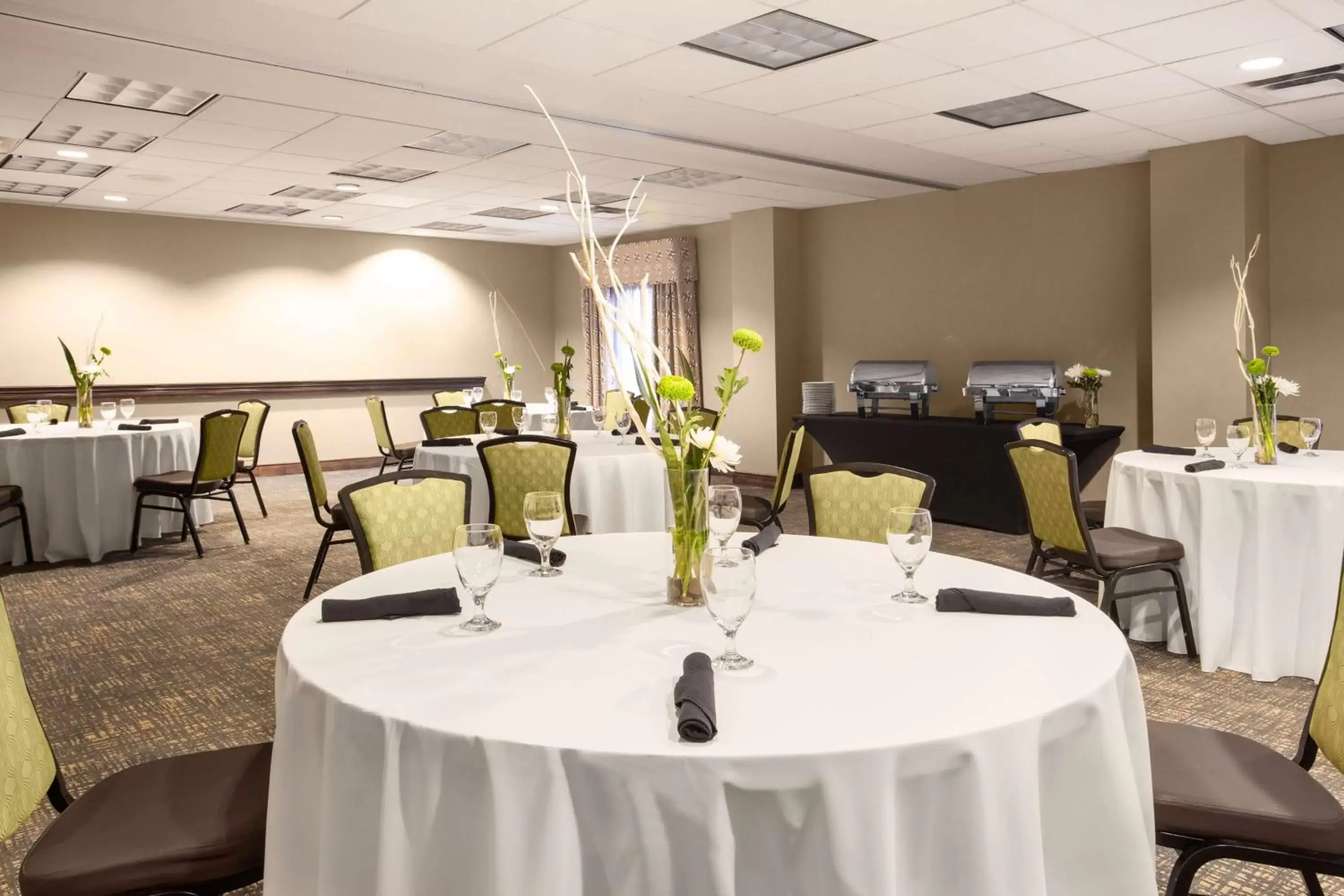 Meeting/conference room, Banquet Facilities in Hampton Inn & Suites Nashville-Smyrna