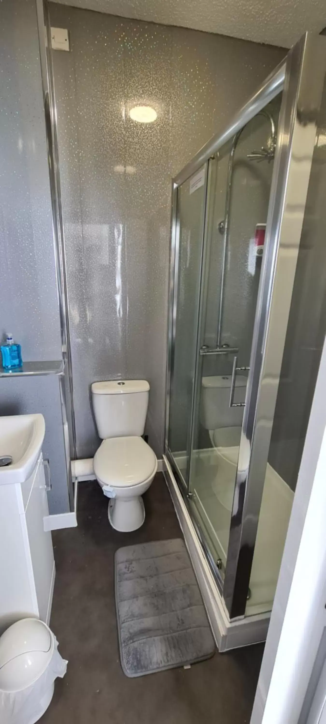 Shower, Bathroom in The Roslyn Guest House