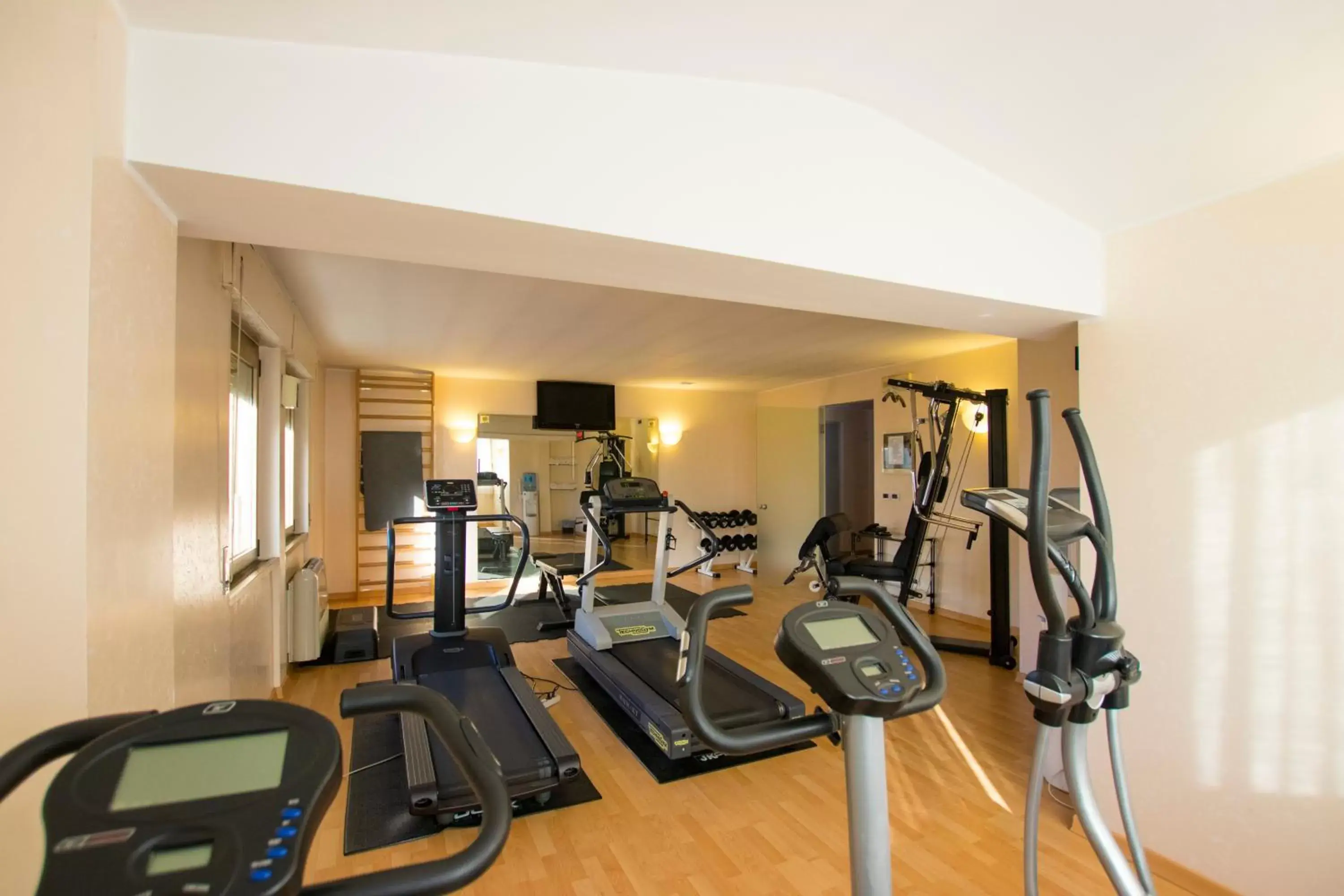 Fitness centre/facilities, Fitness Center/Facilities in Hotel Minerva