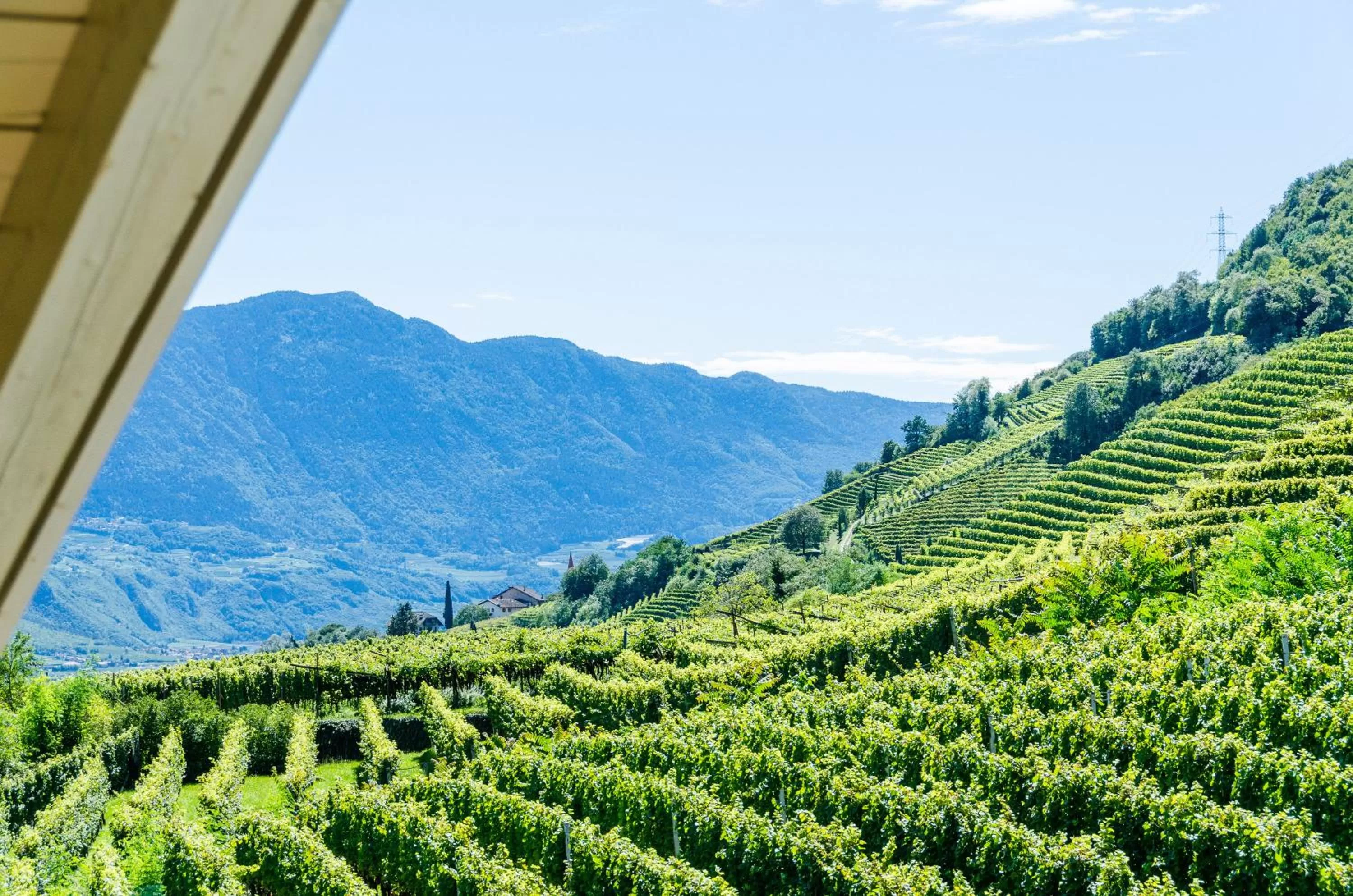 View (from property/room) in Residence Garni Hotel Vineus