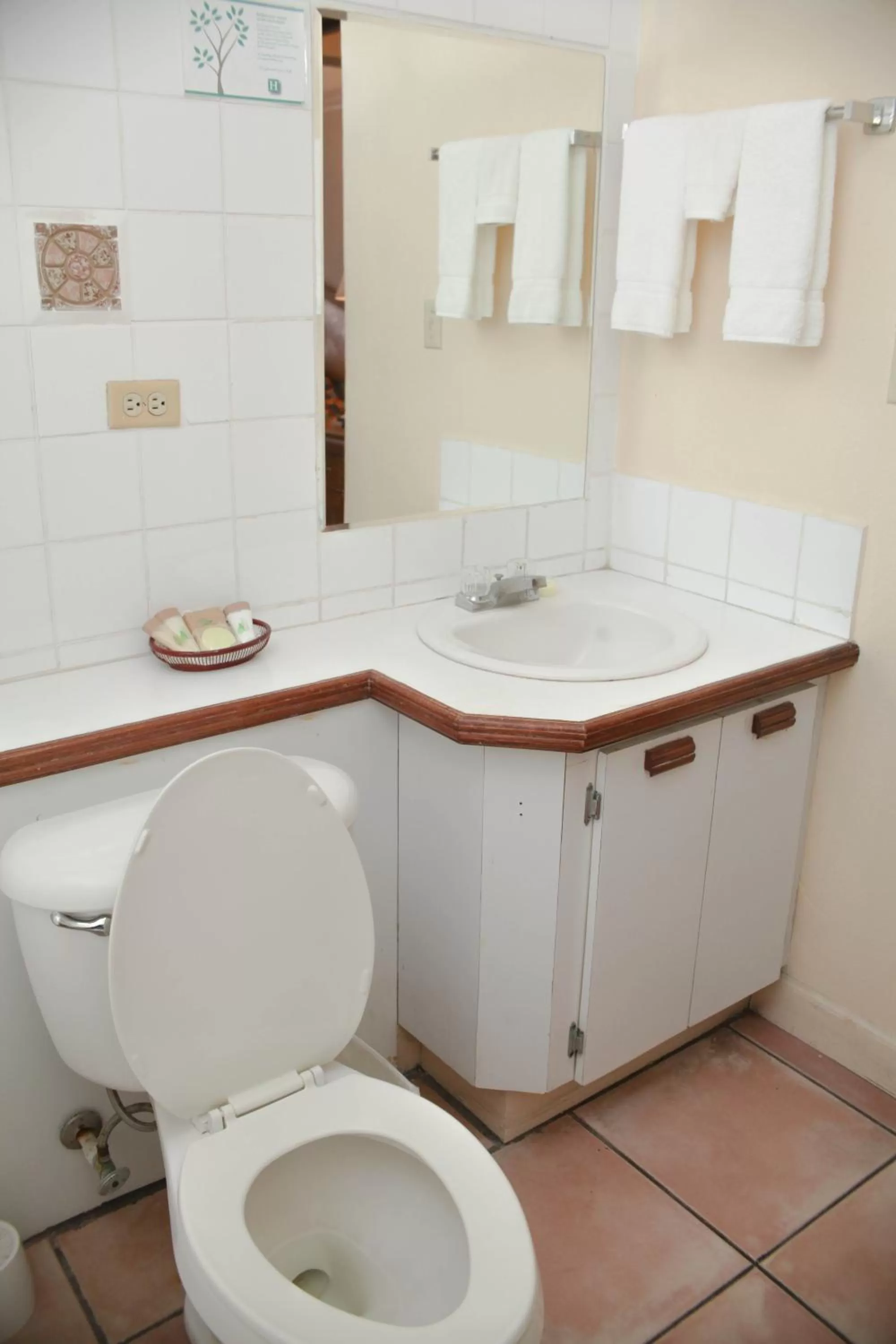 Toilet in Heritage Hotel