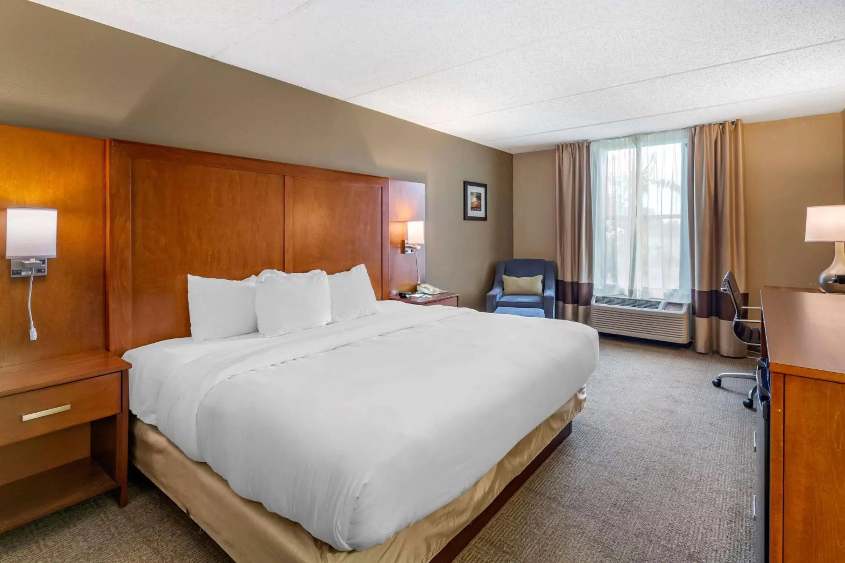 Photo of the whole room, Bed in Comfort Inn Alliance