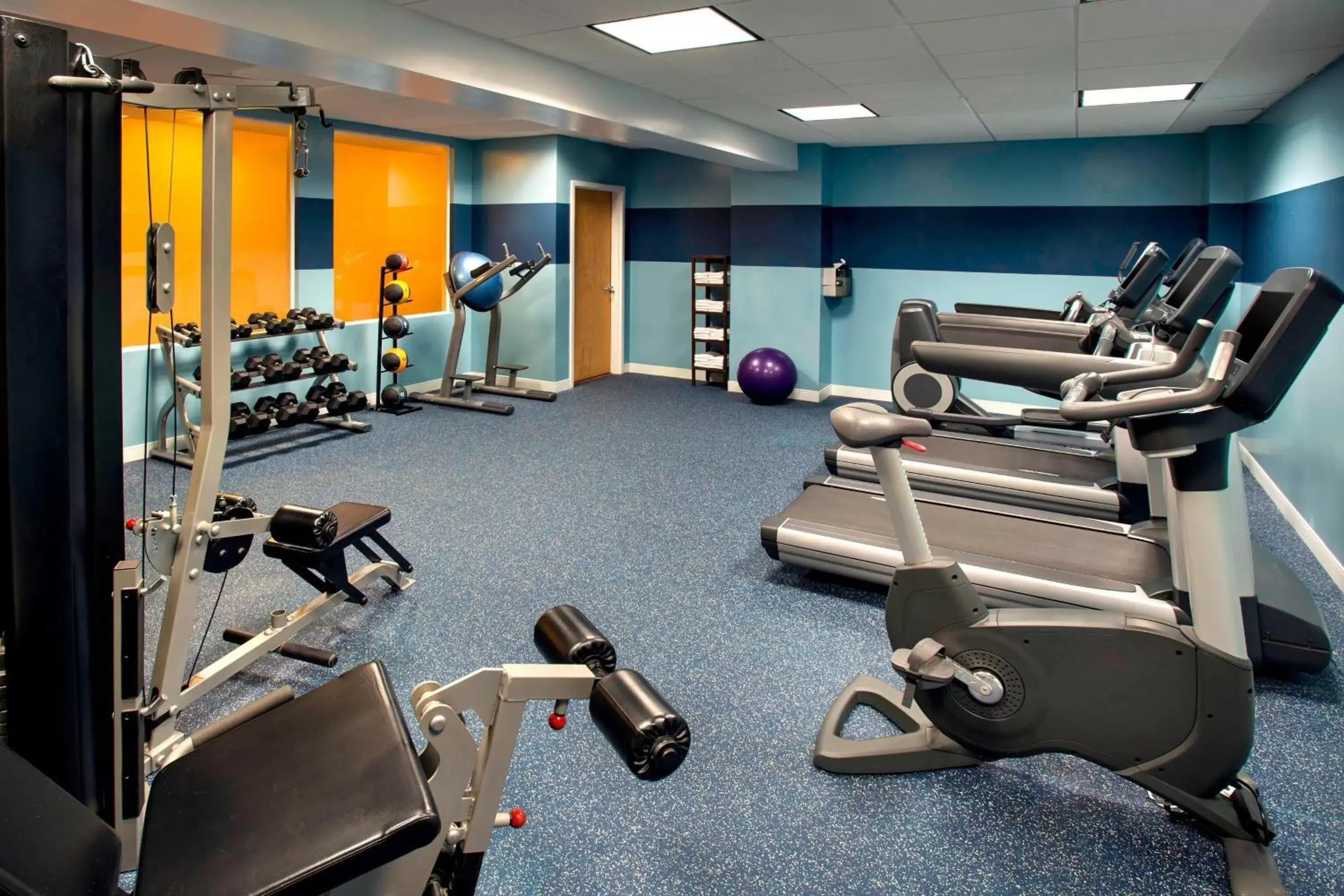 Fitness centre/facilities, Fitness Center/Facilities in Four Points by Sheraton Melville Long Island