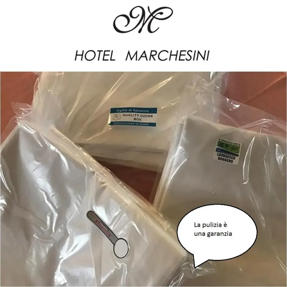 Property Logo/Sign in Hotel Marchesini