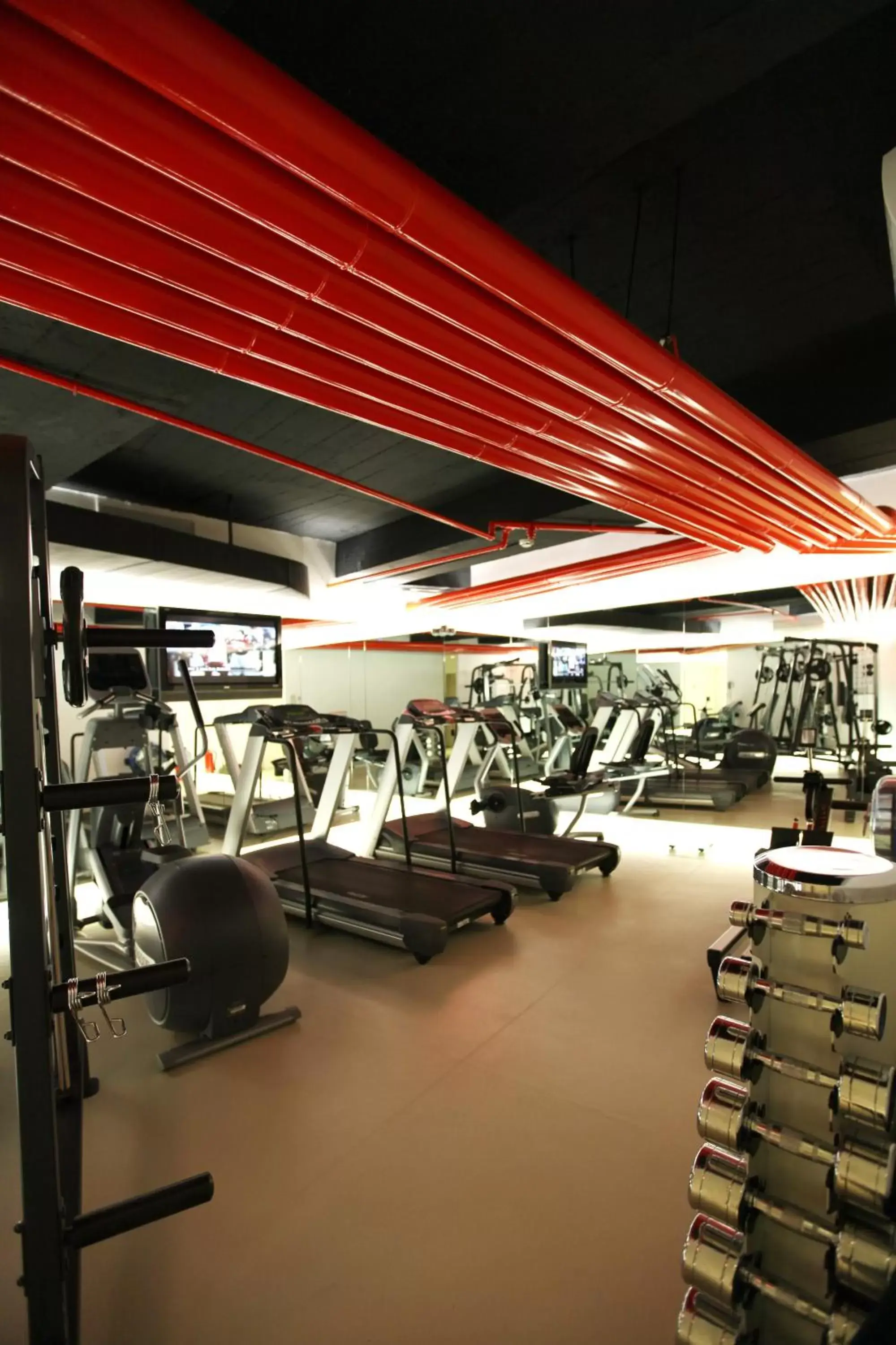 Fitness centre/facilities, Fitness Center/Facilities in The Marmara Pera