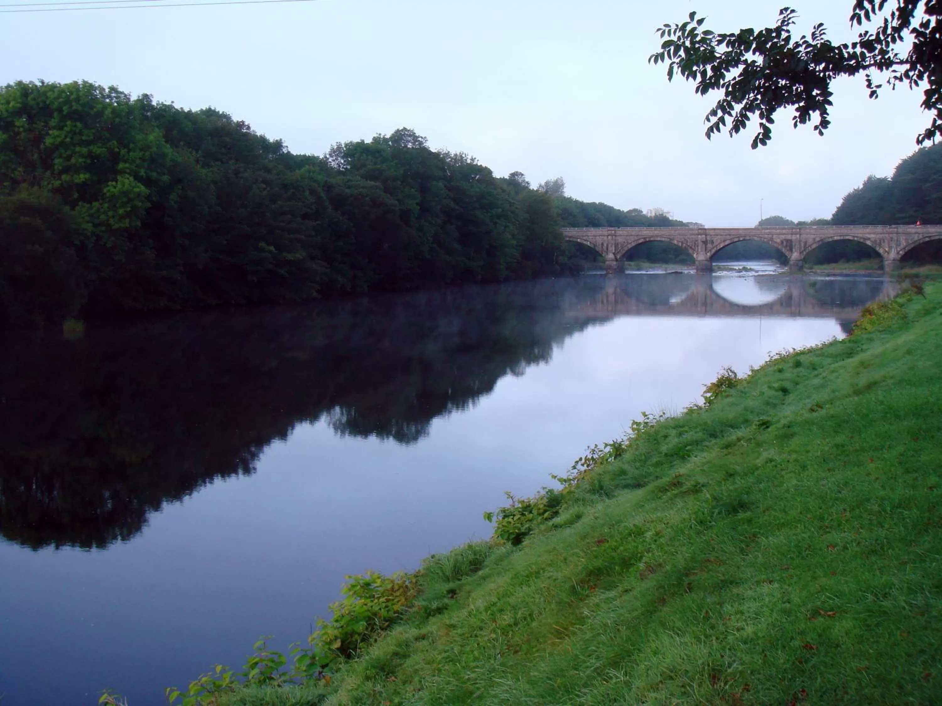 Natural landscape in The Listowel Arms Hotel