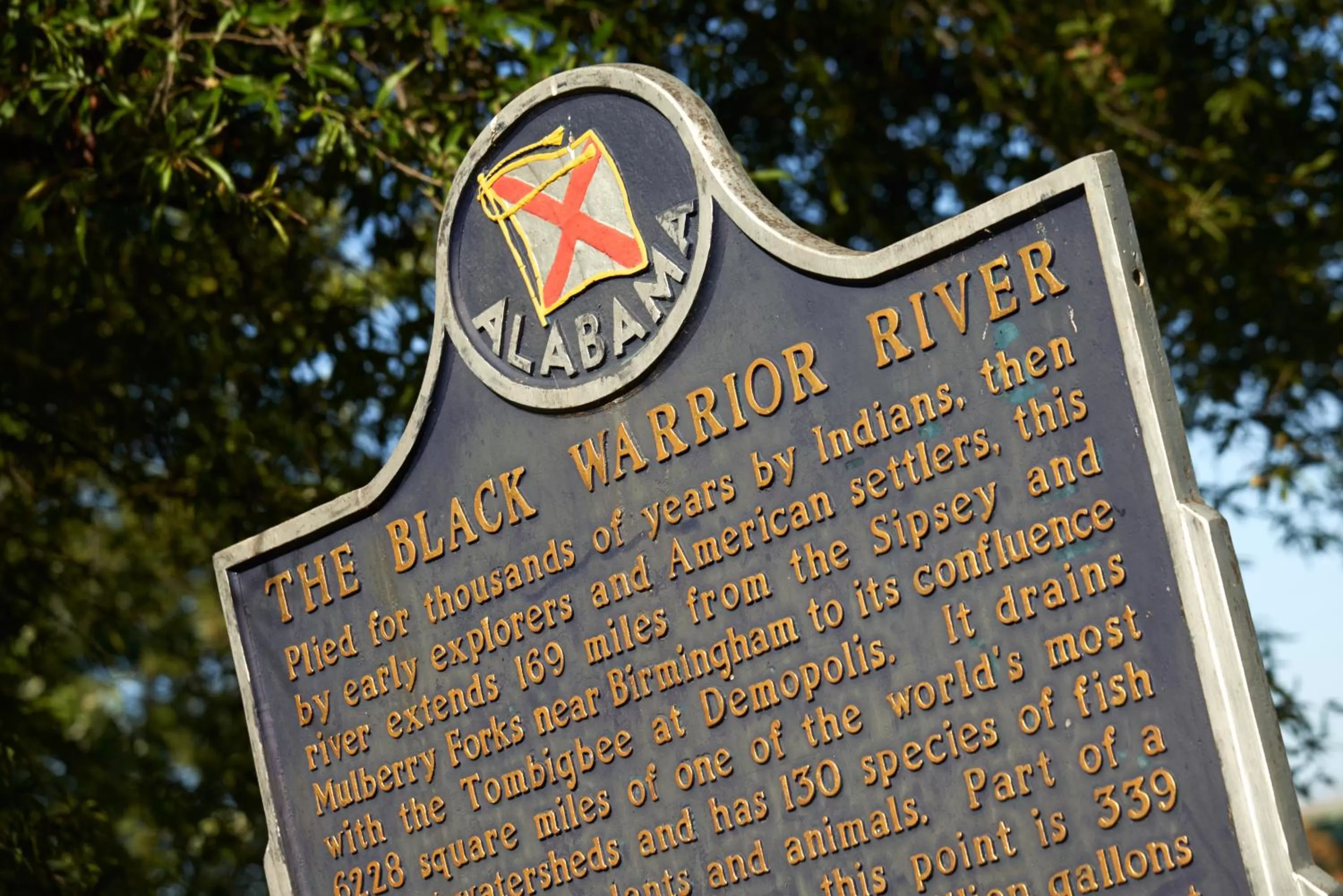 Nearby landmark in Hotel Indigo Tuscaloosa Downtown by IHG