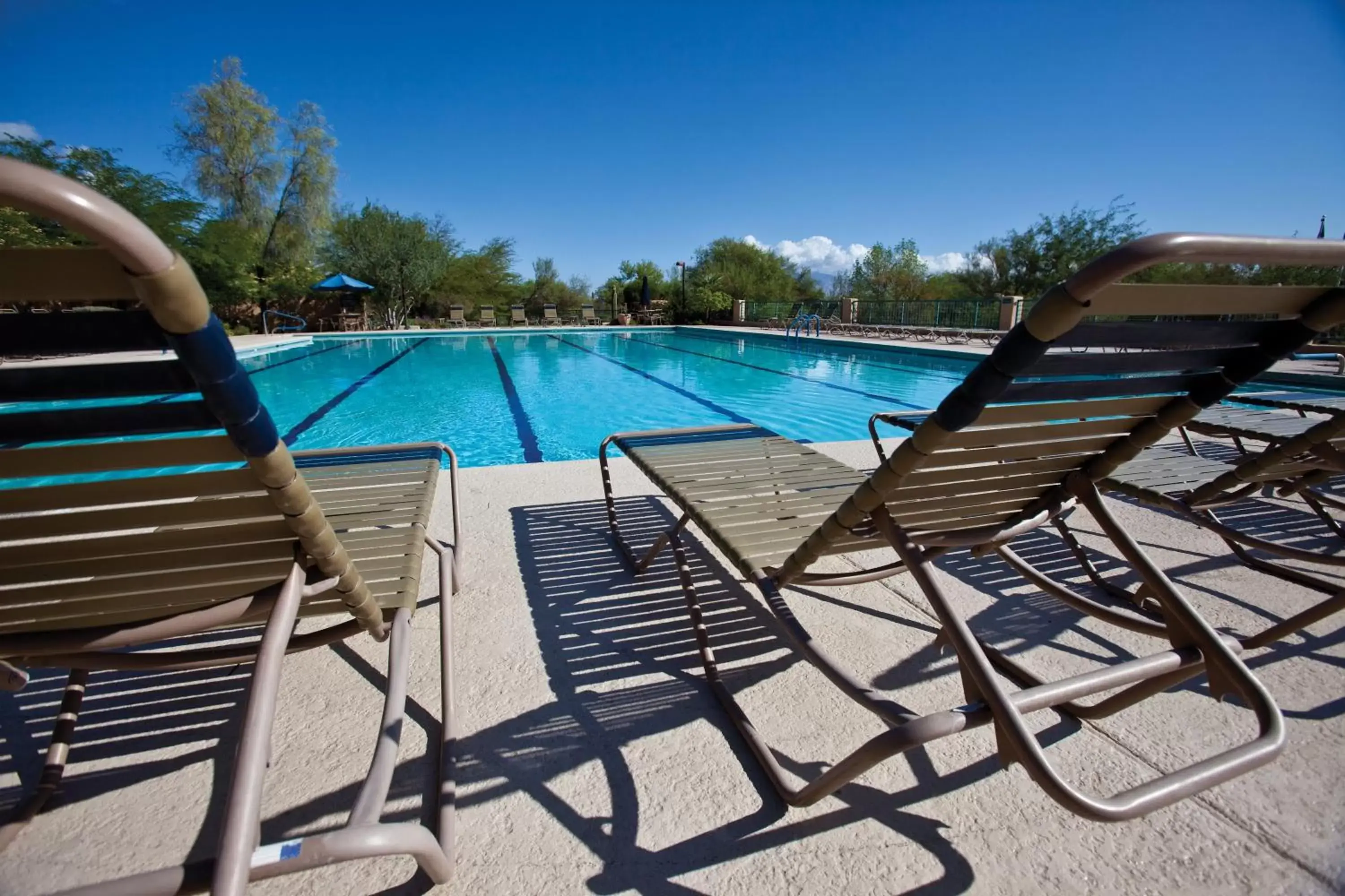 Swimming Pool in Starr Pass Golf Suites