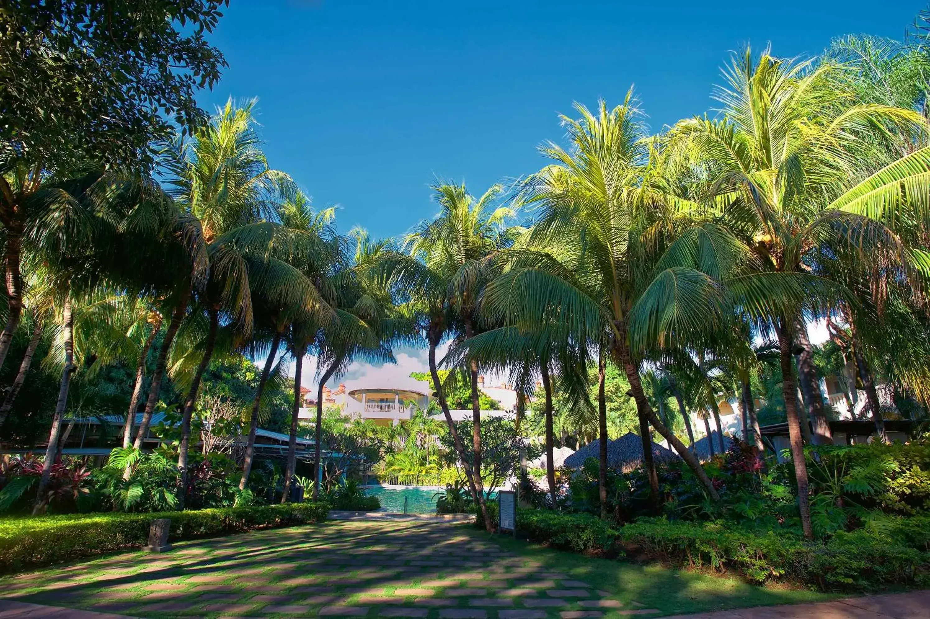 Garden in Hotel Tamarindo Diria Beach Resort