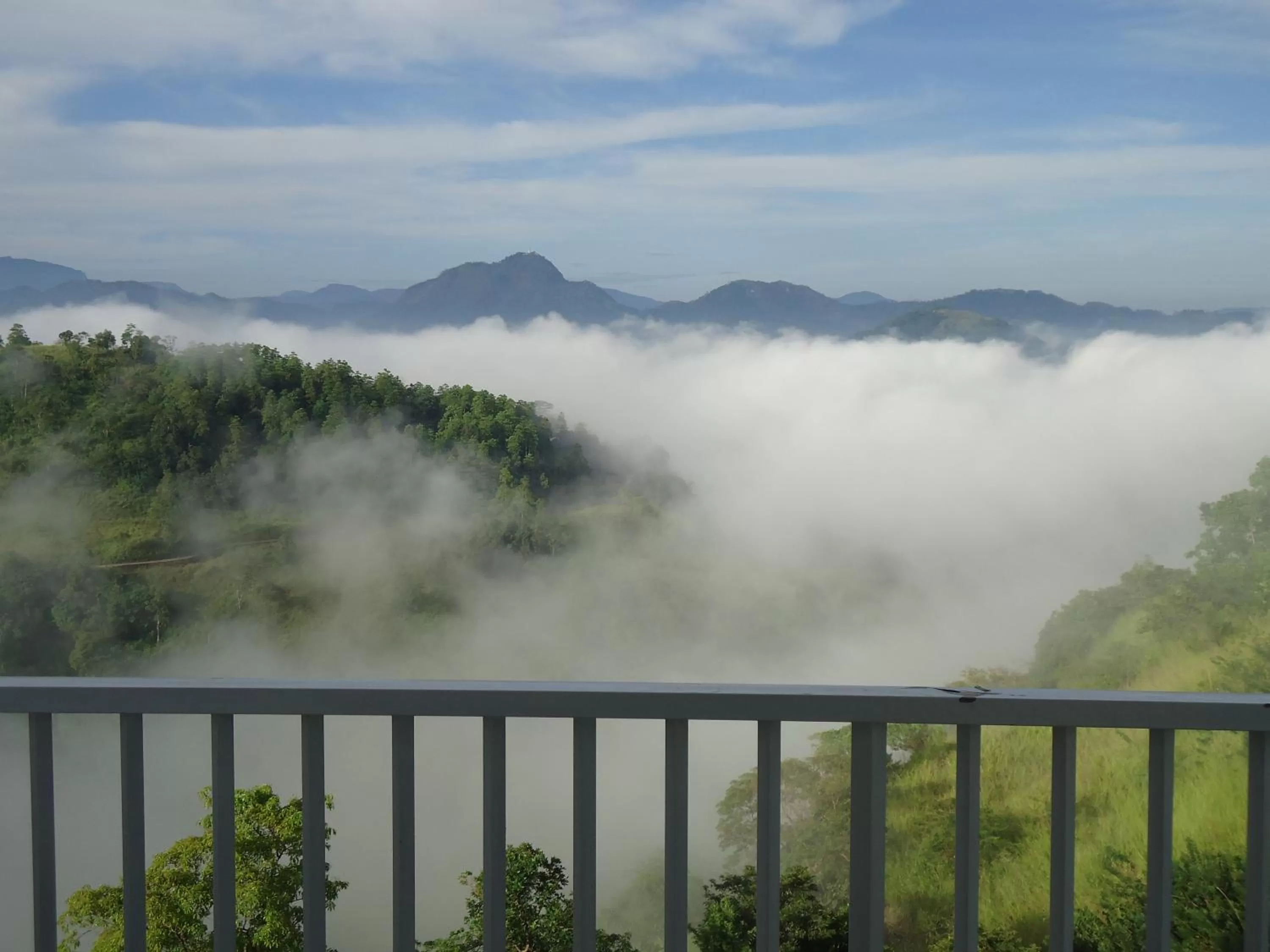 View (from property/room) in Sky Lodge
