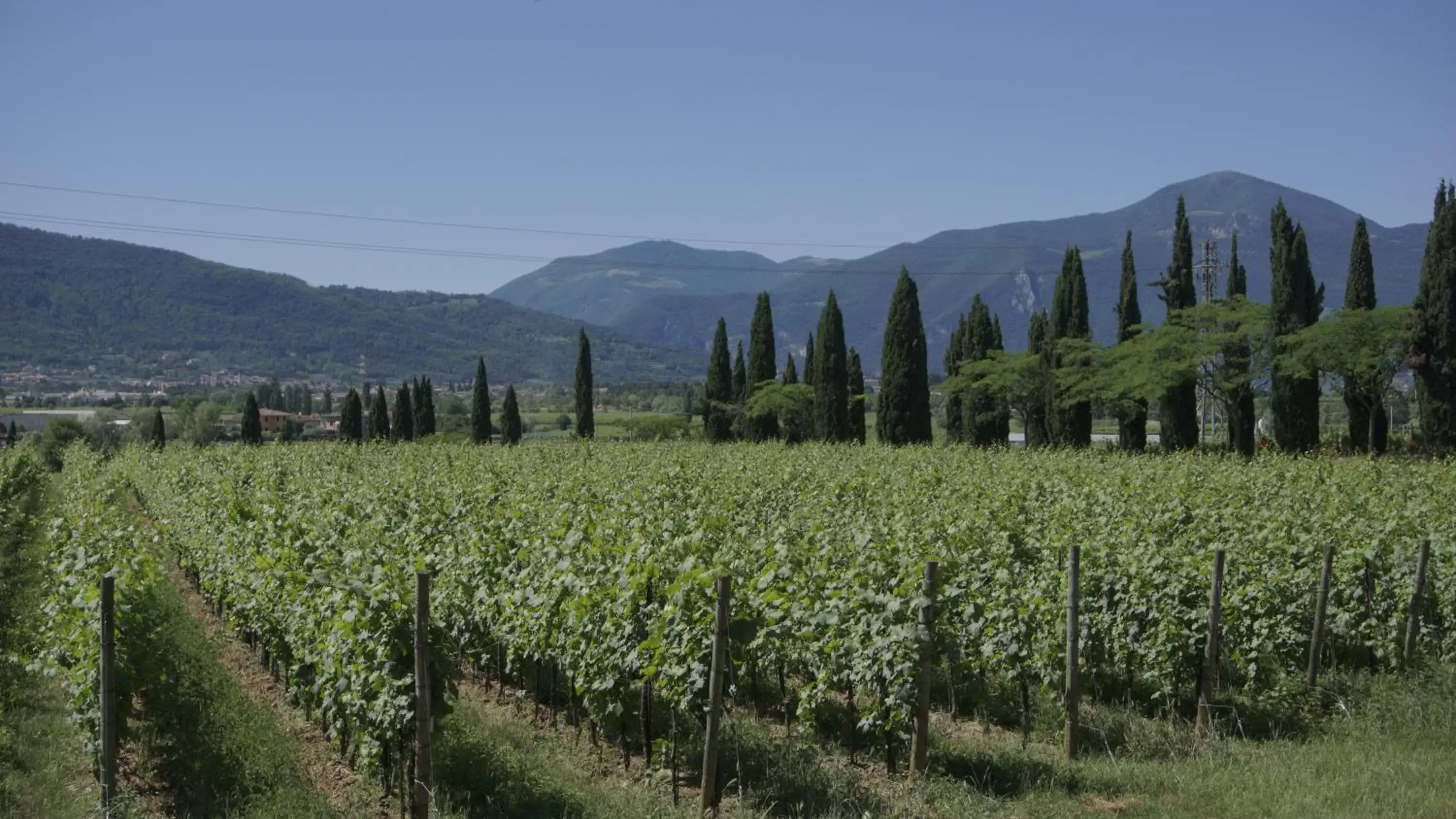 Natural Landscape in B&B CORTE SANT'ANGELO