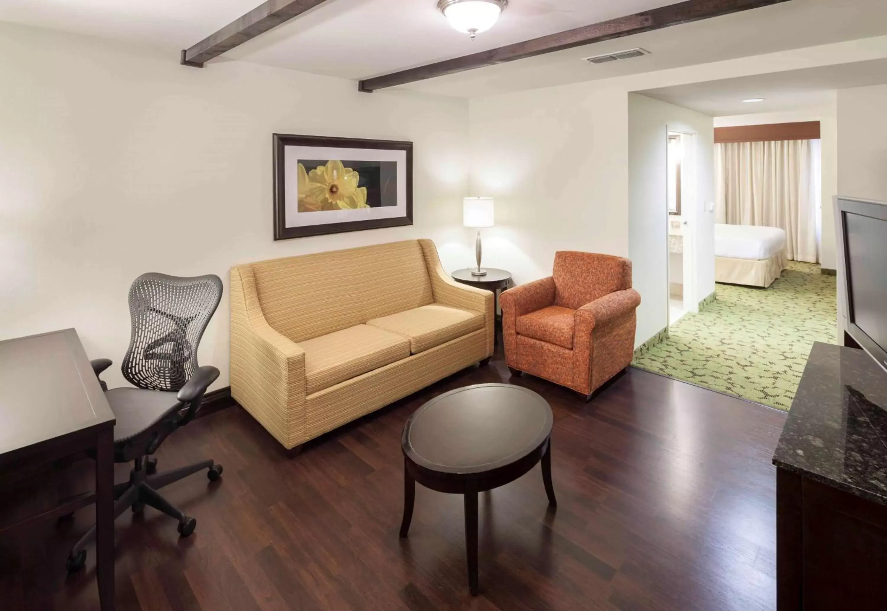 Living room, Seating Area in Hilton Garden Inn Dallas Lewisville