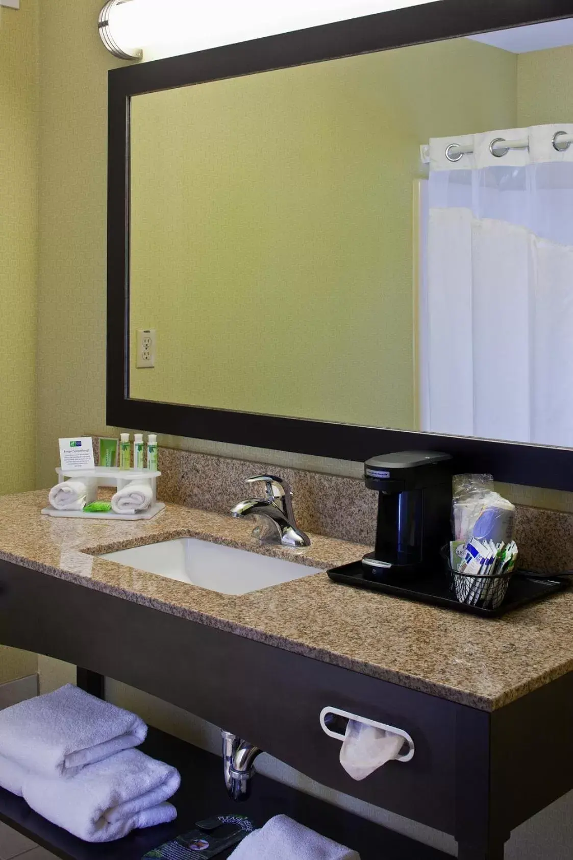 Bathroom in Holiday Inn Express Hotel & Suites Saginaw, an IHG Hotel