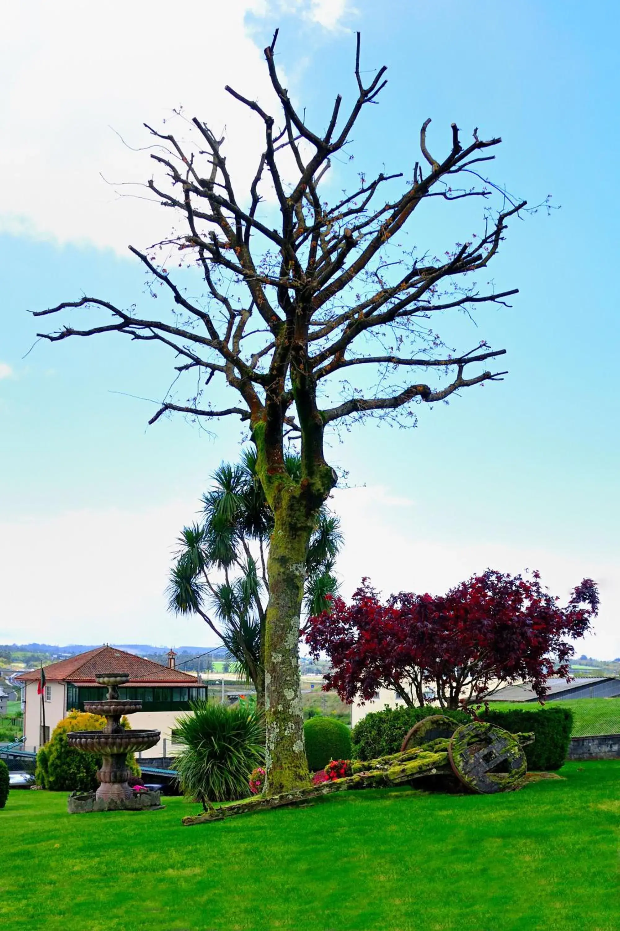 Garden in Hotel Castro