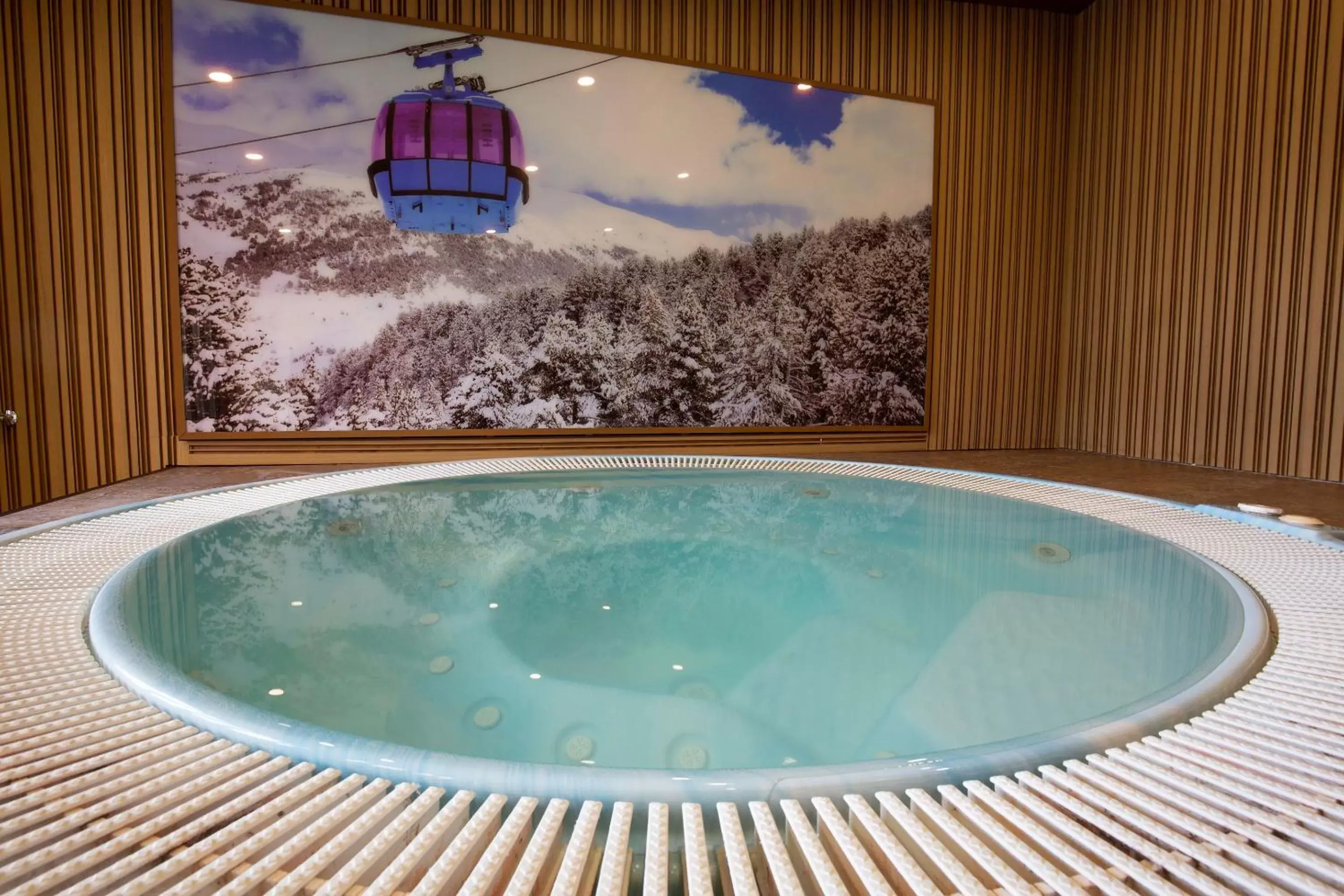 Hot Tub, Swimming Pool in Hotel Màgic Pas