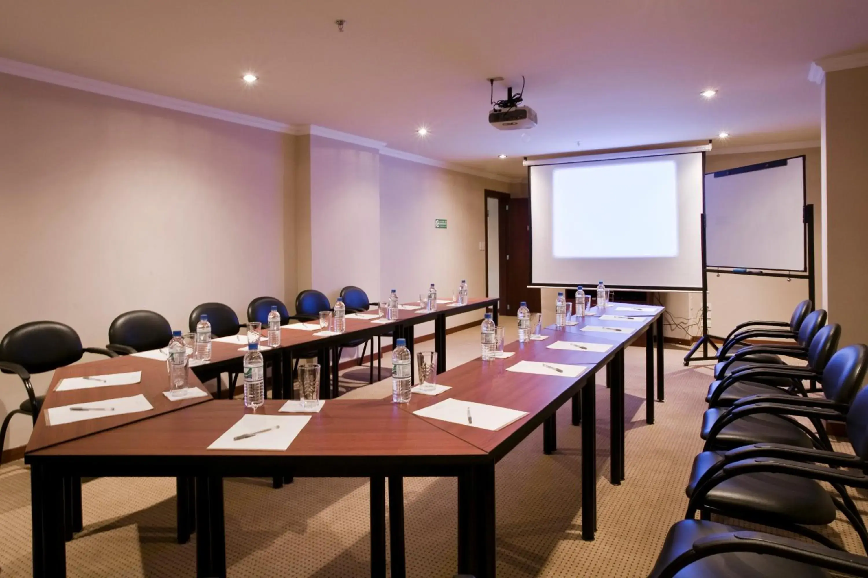 Meeting/conference room in Hotel Stubel Suites & Cafe