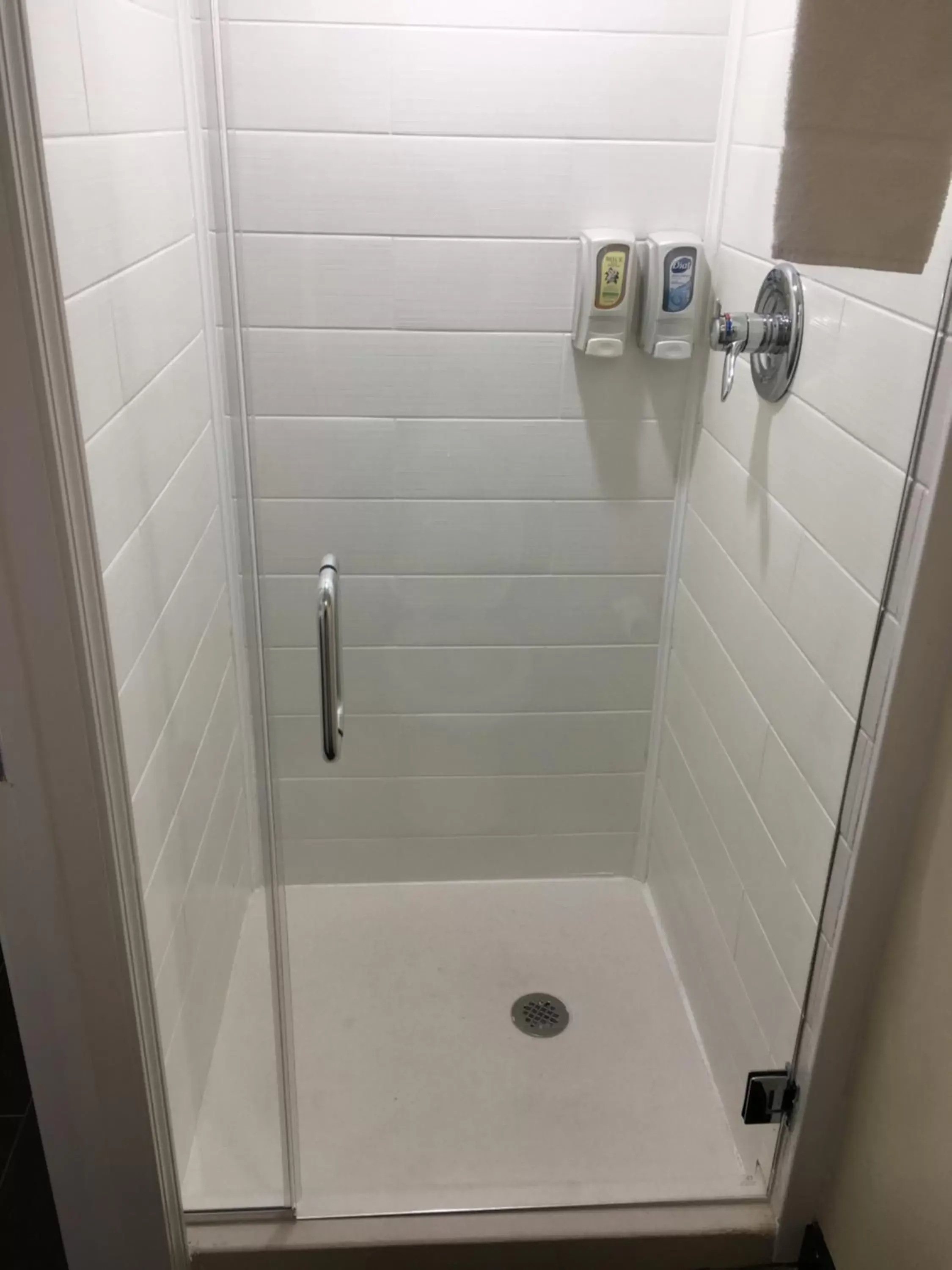 Shower, Bathroom in Best Western Travelers Rest/Greenville