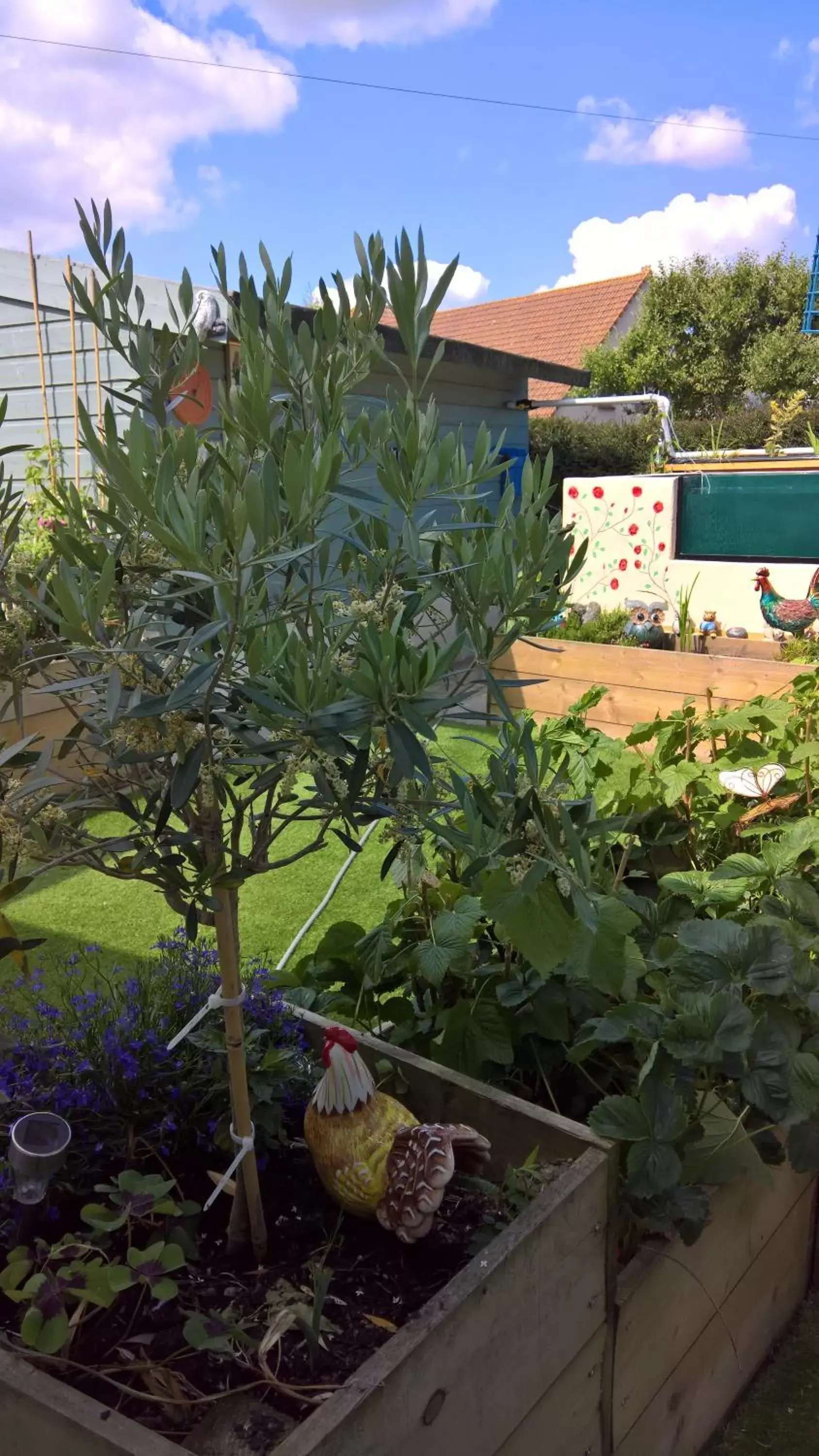 Garden view in Owly 'Ouse