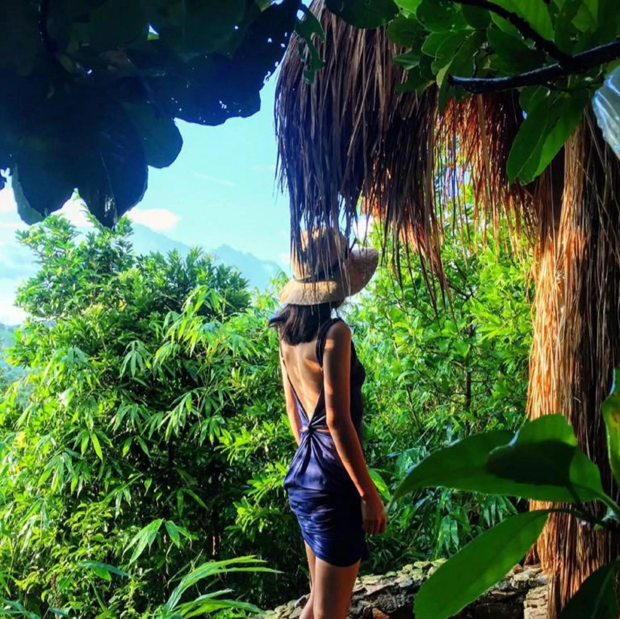 Sanctuaria Treehouses Busuanga