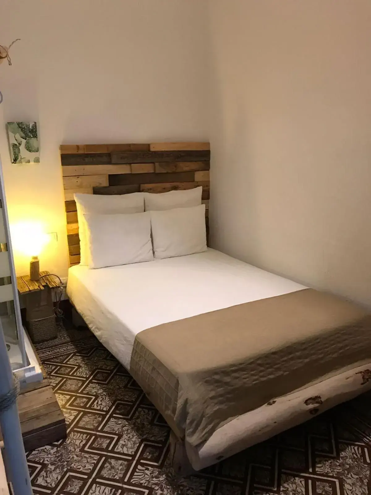 Bed in Cactus Host