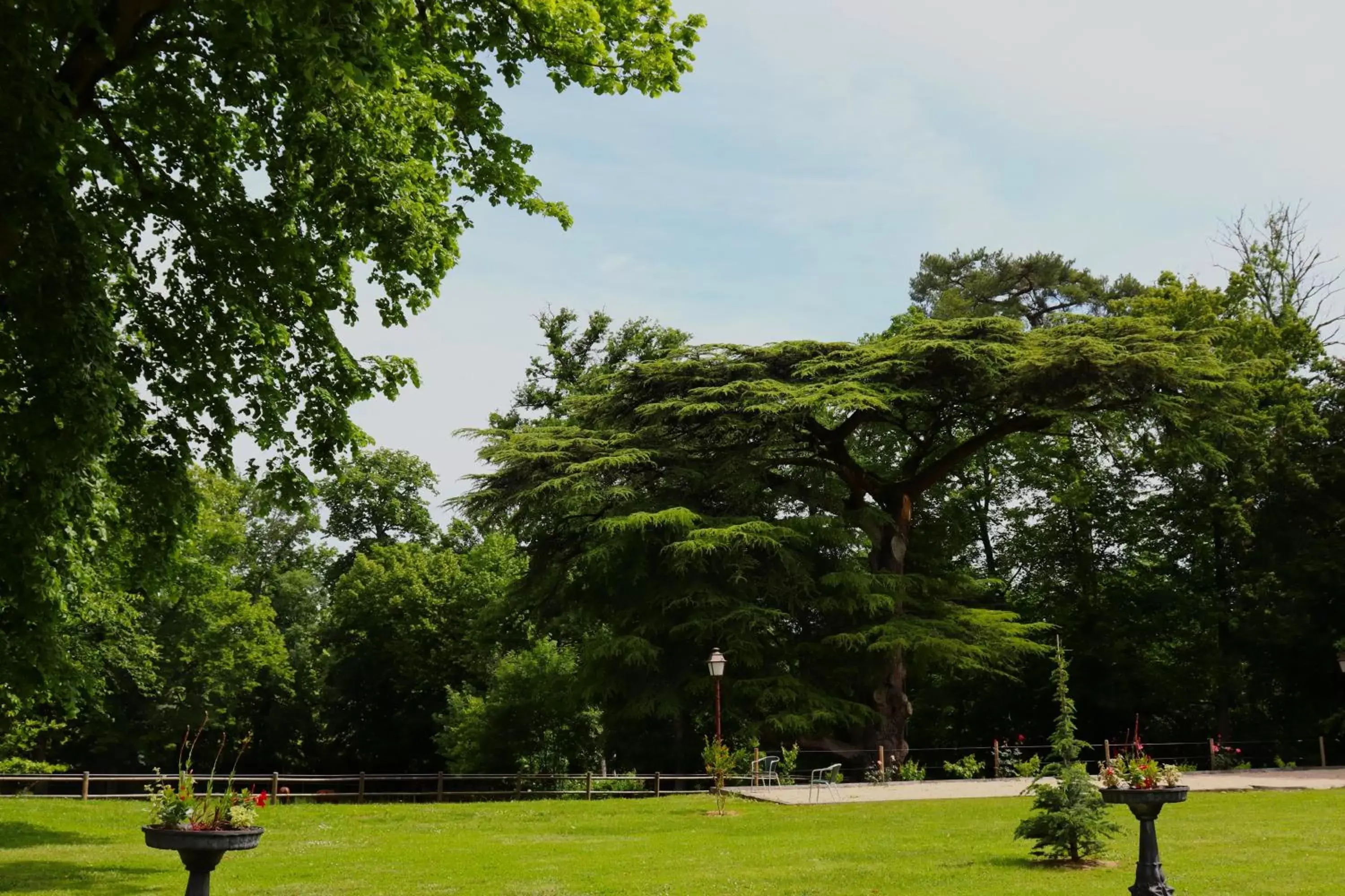 Garden in Maison D'hôtes Sainte-Marie