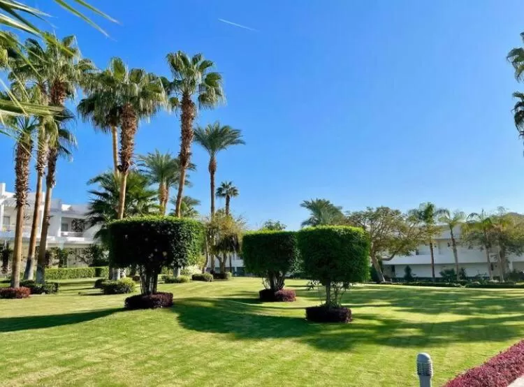 Natural landscape in Monte Carlo Sharm Resort & Spa