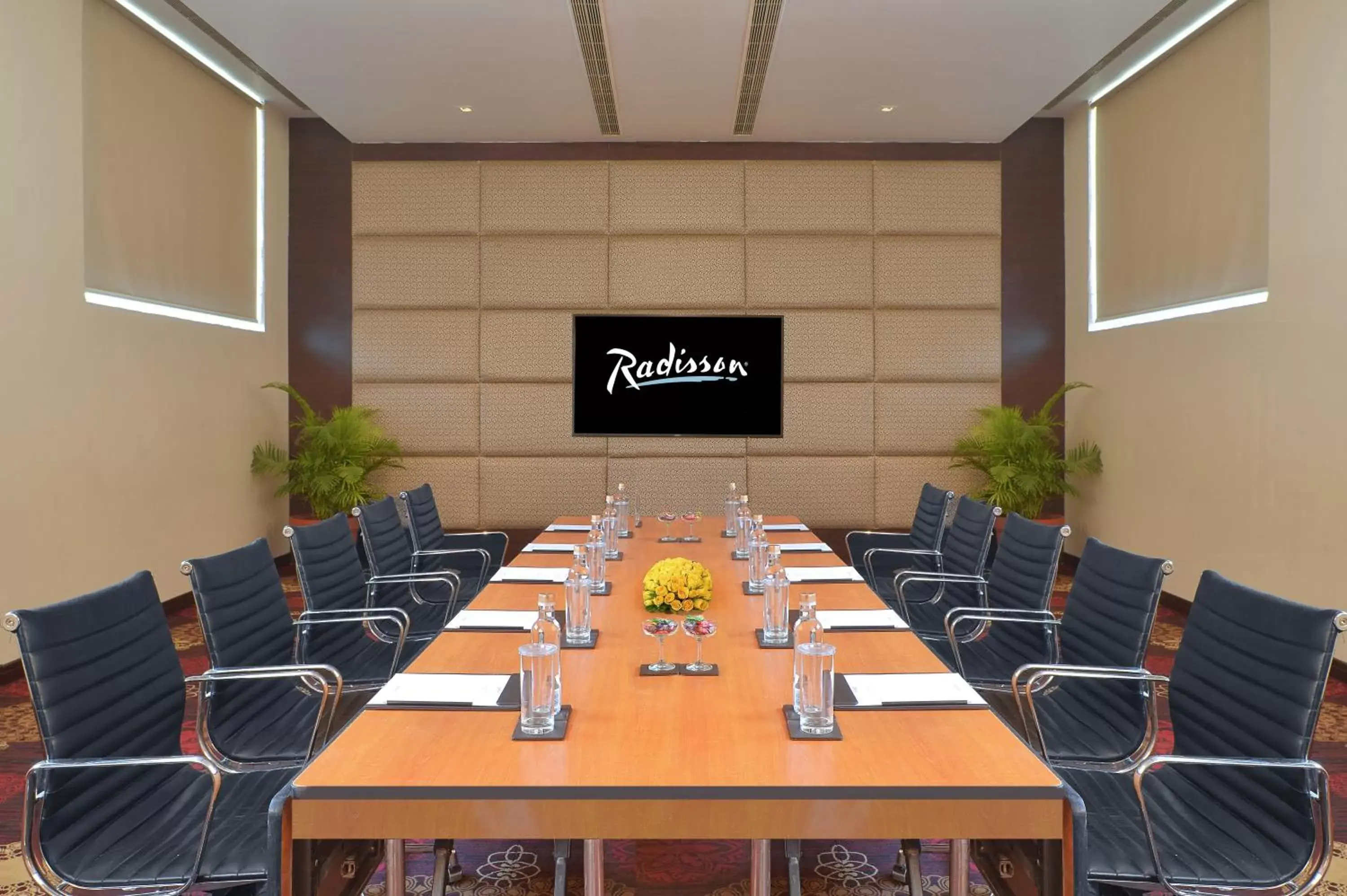 Meeting/conference room in Radisson Hotel Agra