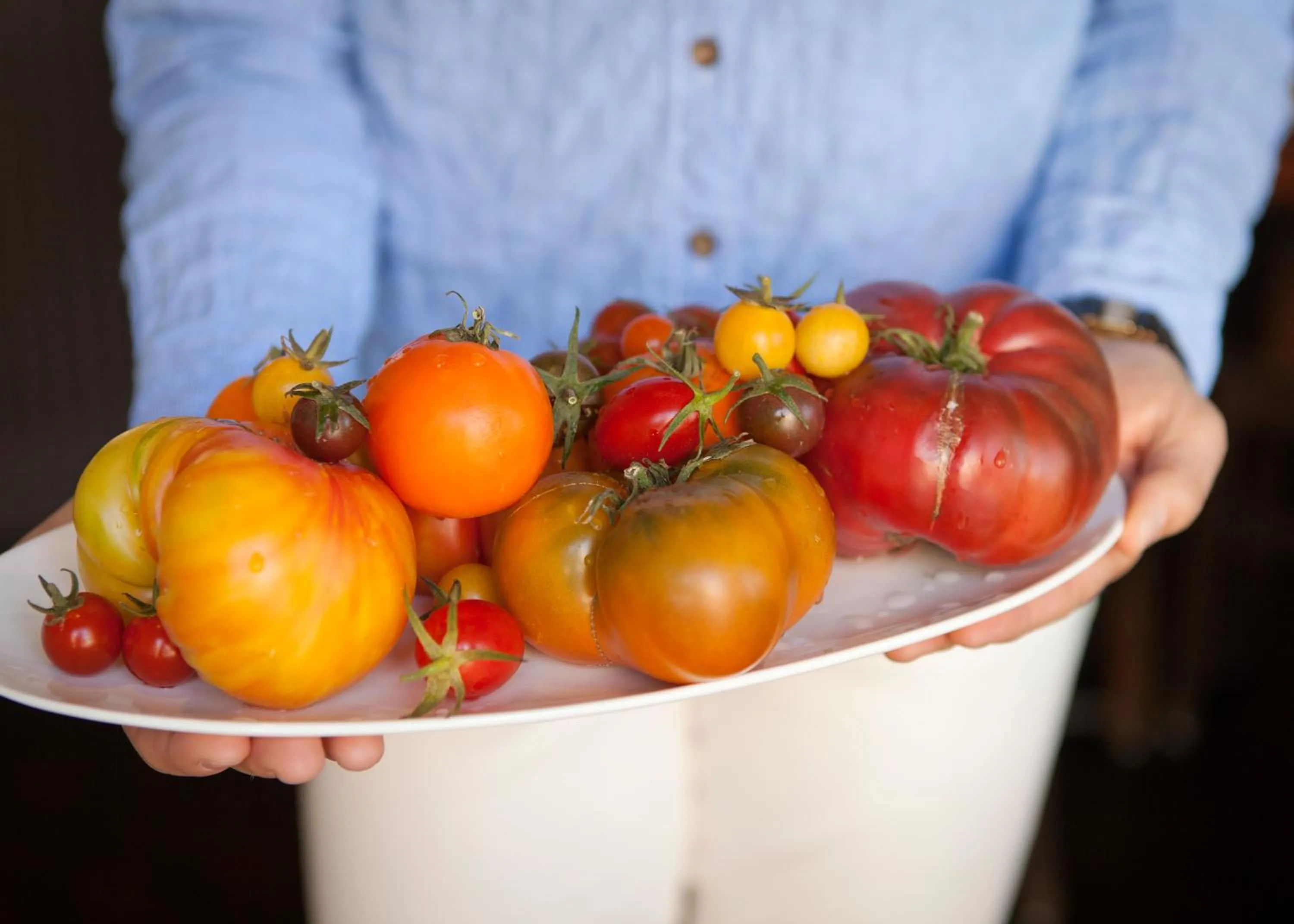Food and drinks in El Dorado Hotel