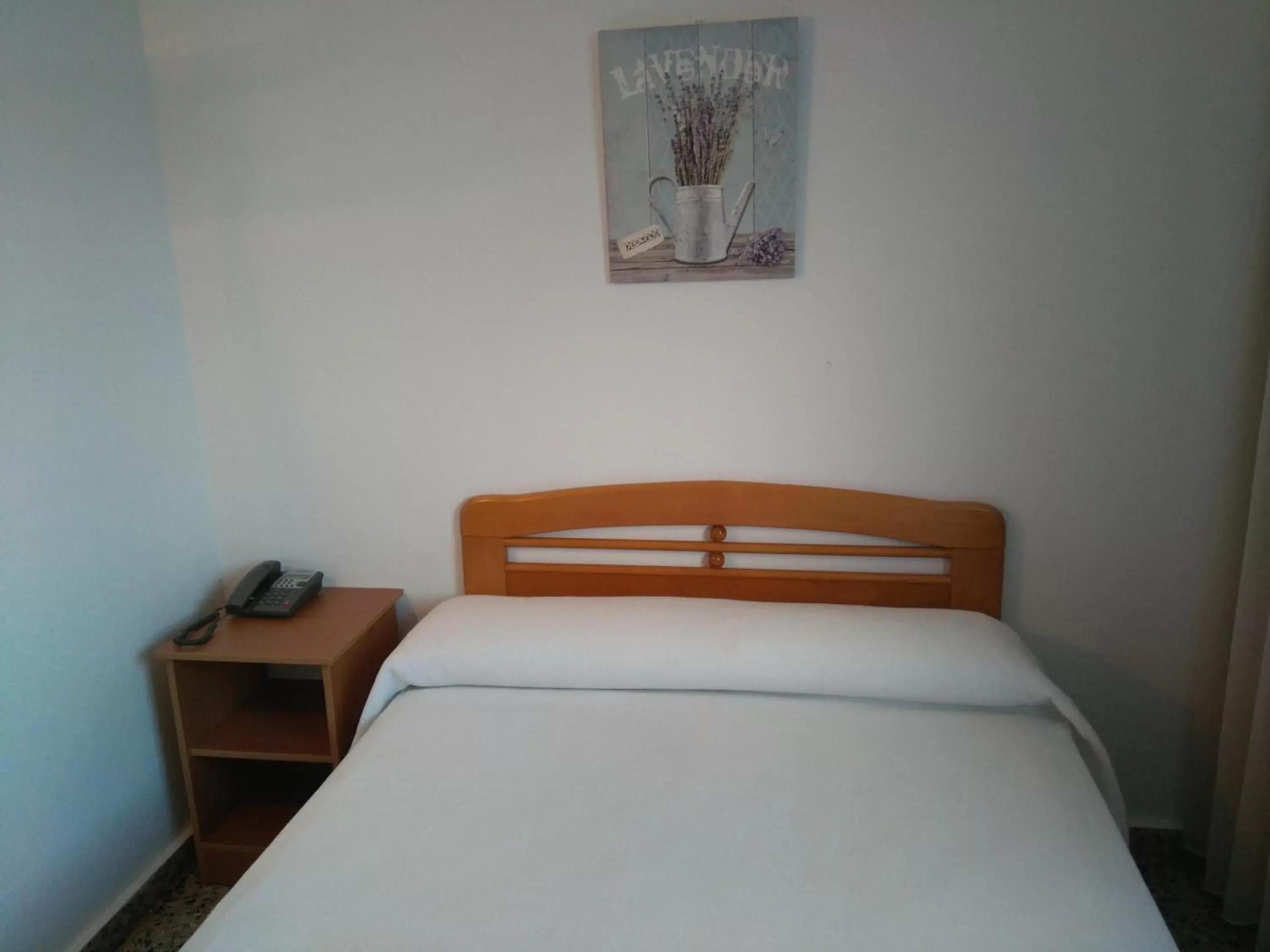 Single Room in Hotel Cogullada