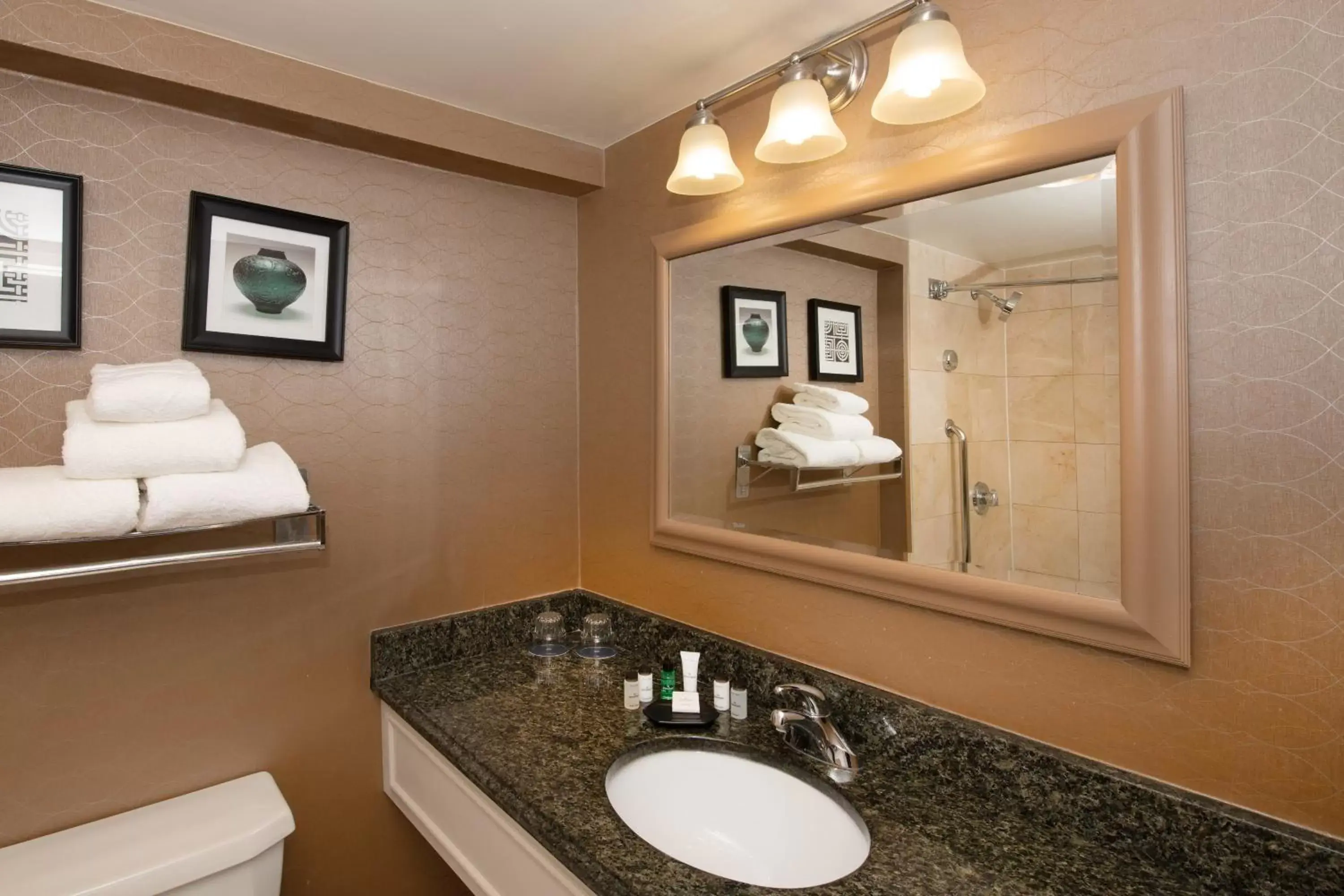 Bathroom in Sheraton Hartford South