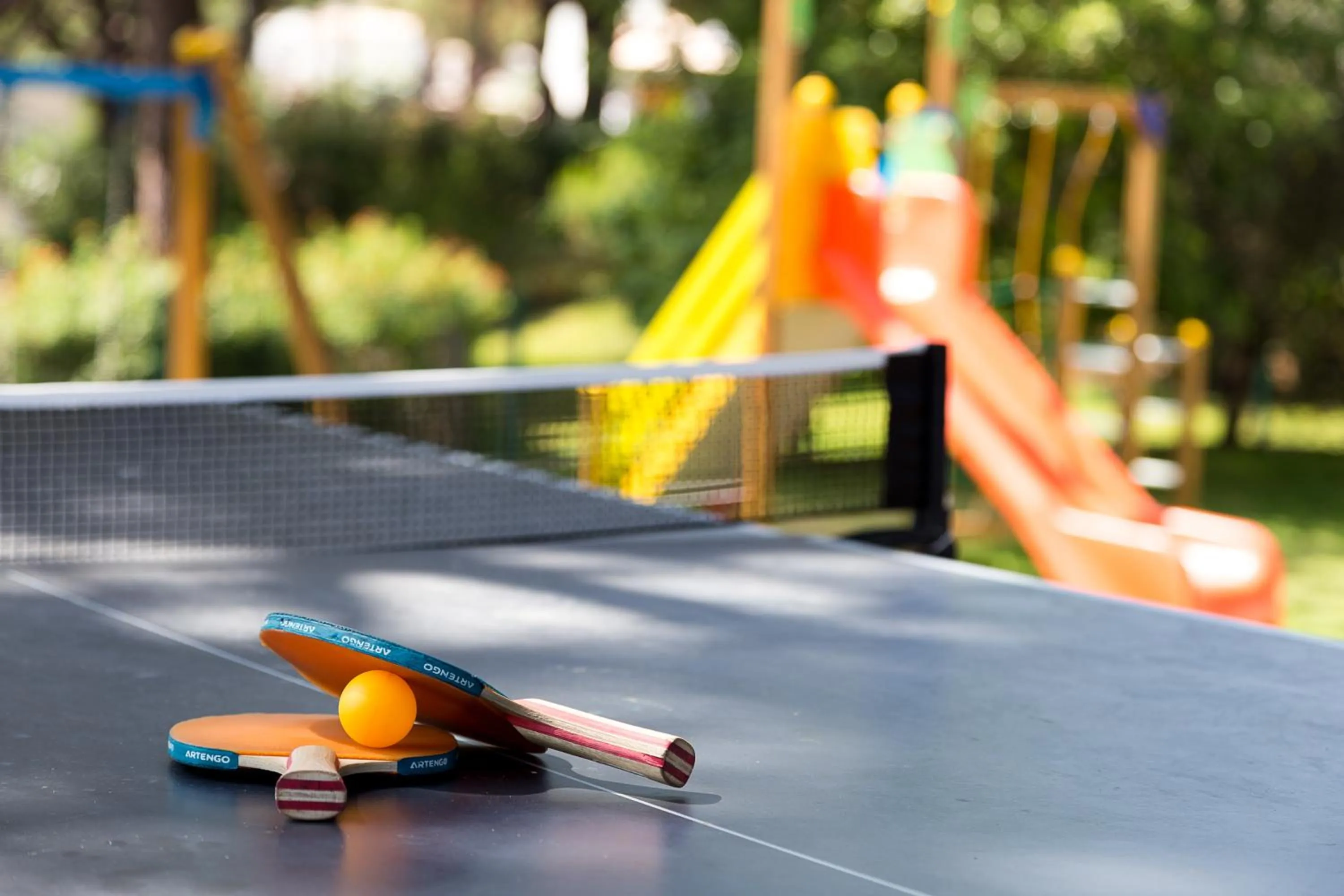 Table tennis in Apartamentos Turisticos Pinhal Da Marina