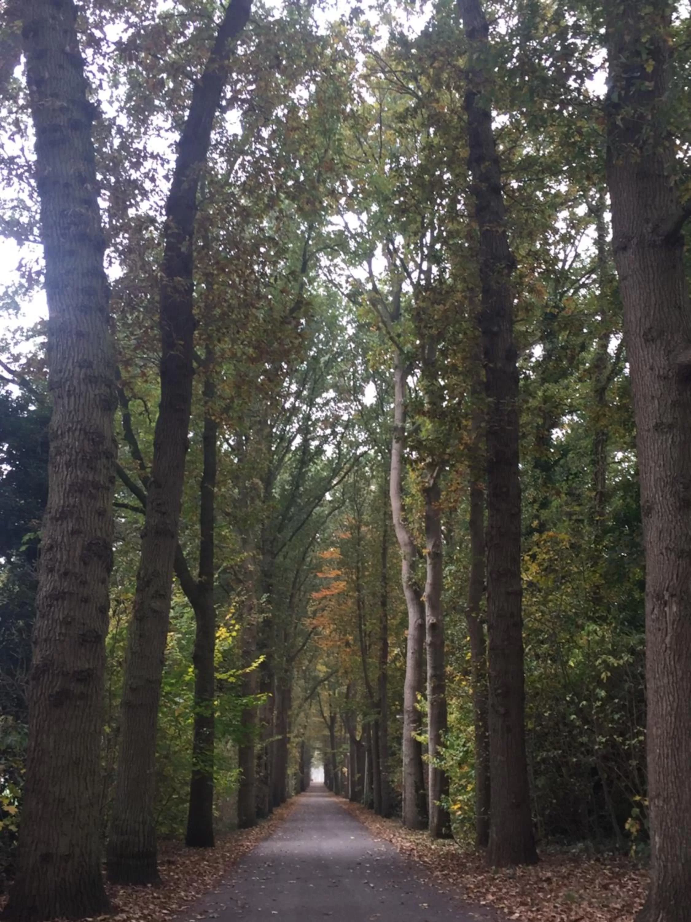 Day in Op de Kuyerlatten