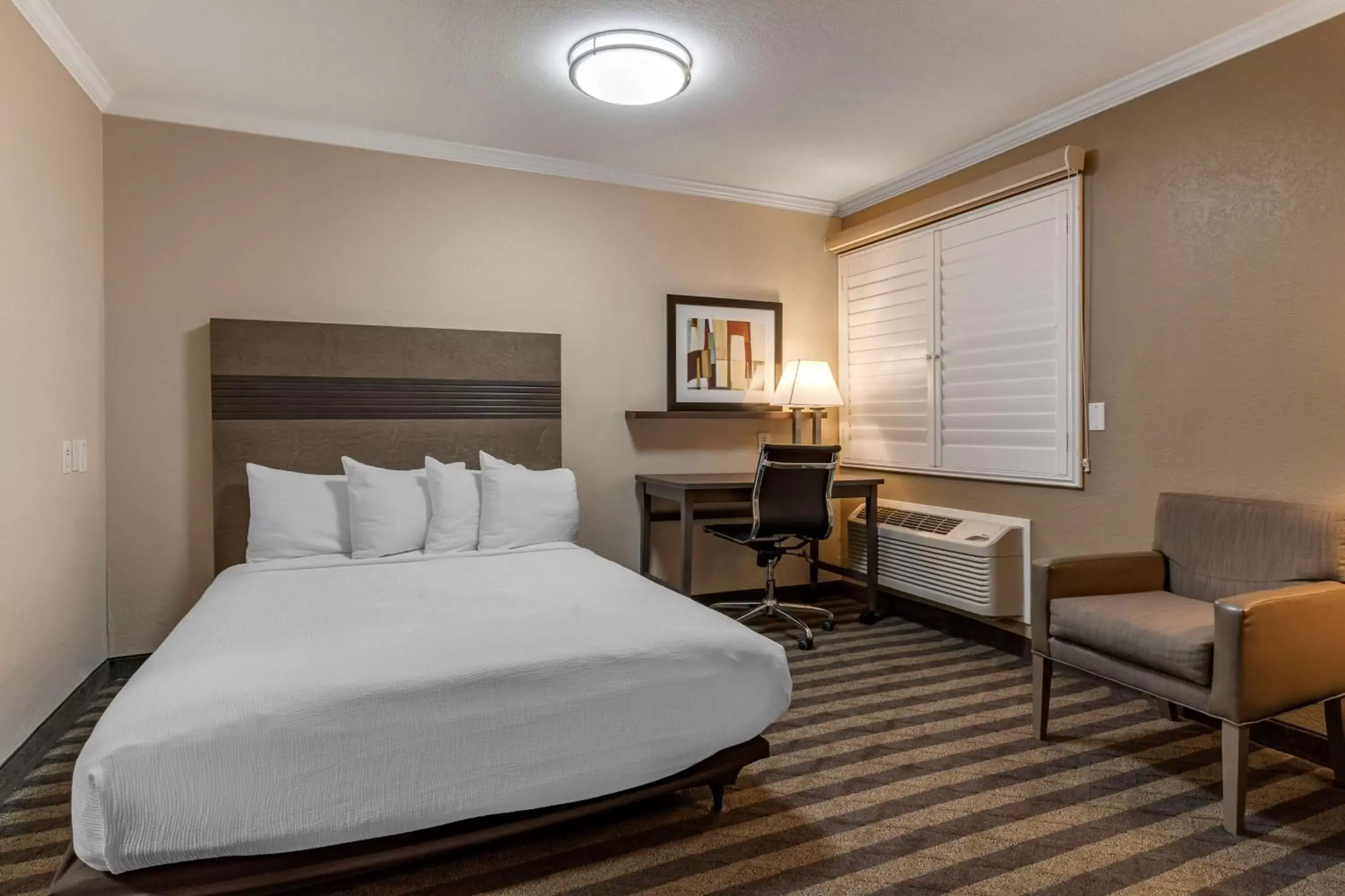 Bedroom, Bed in Best Western Silicon Valley Inn Bedroom, Bed in Best Western Silicon Valley Inn