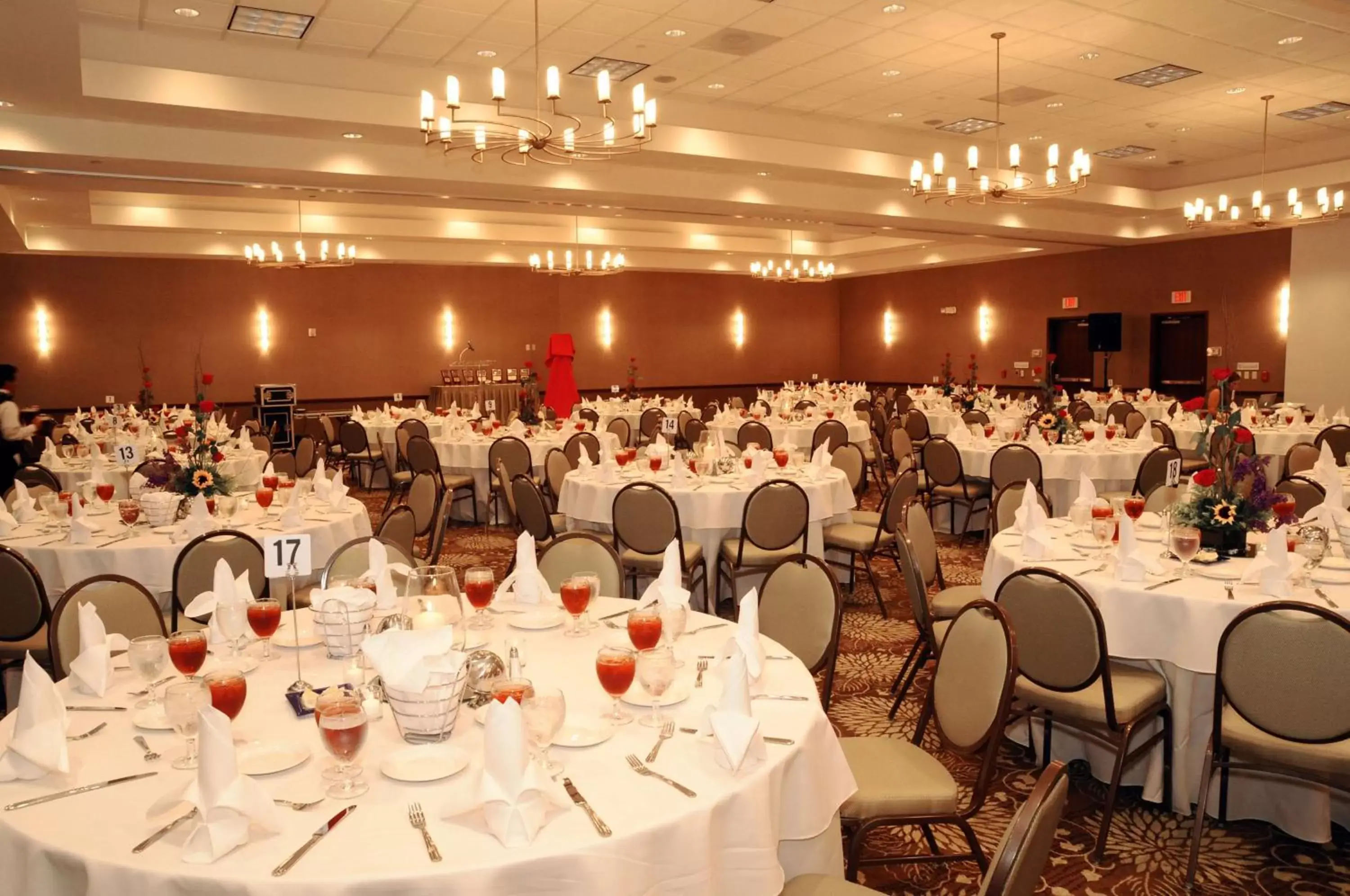 Meeting/conference room, Banquet Facilities in Hilton Garden Inn Houston-Pearland