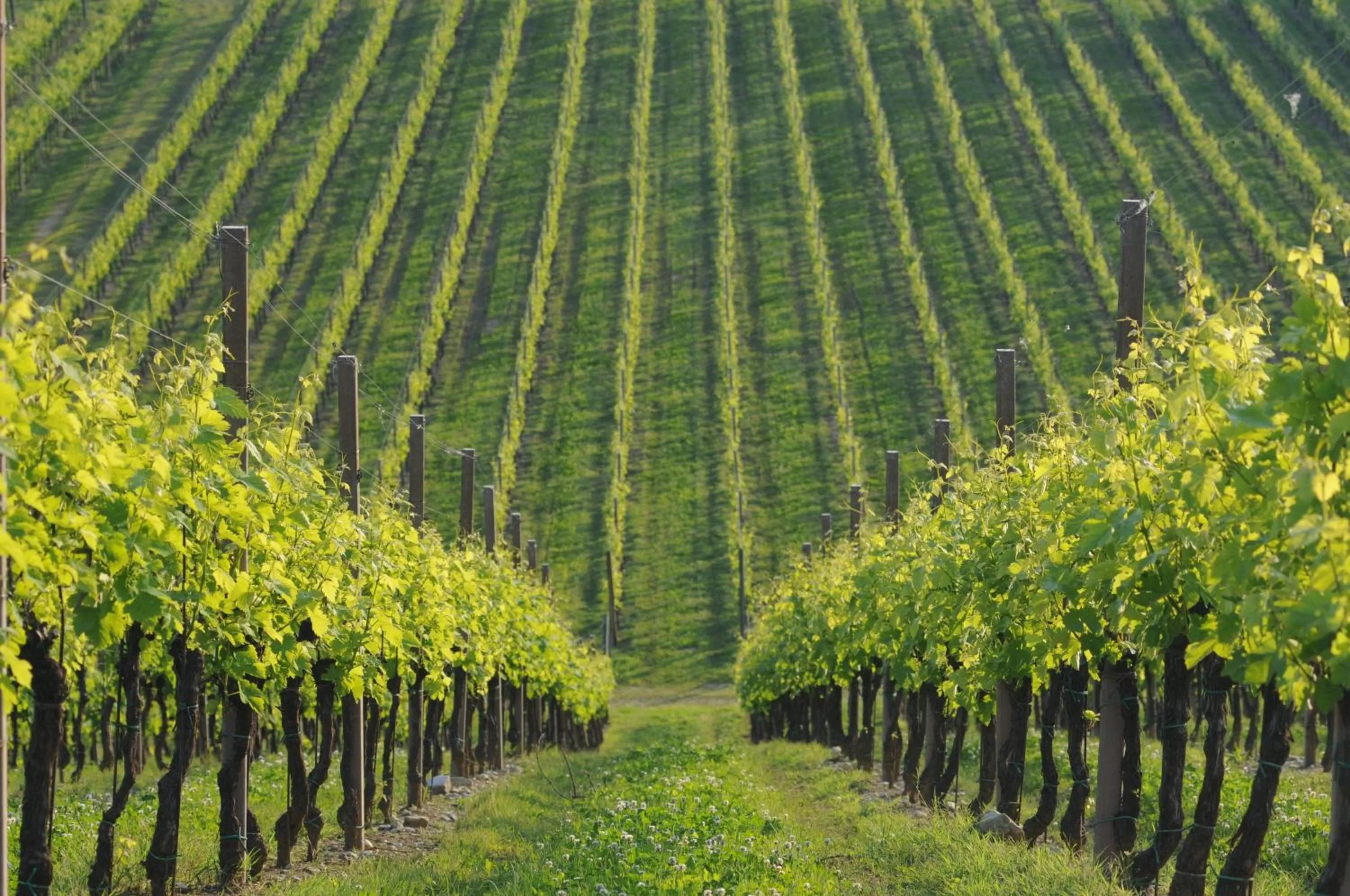 Area and facilities in B&B HOTEL Eurorest Conegliano