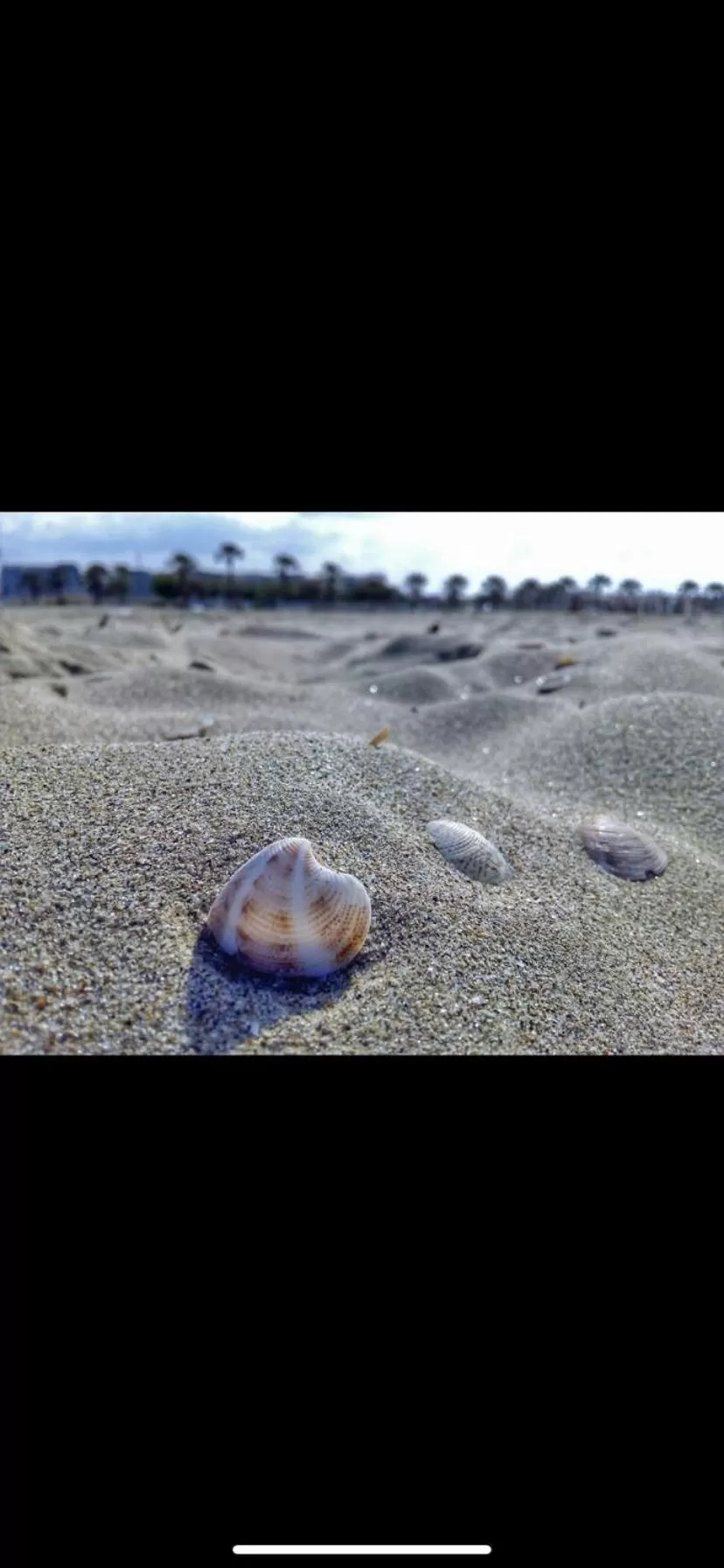 Day, Beach in CD Romanello (Mura S. Cataldo)