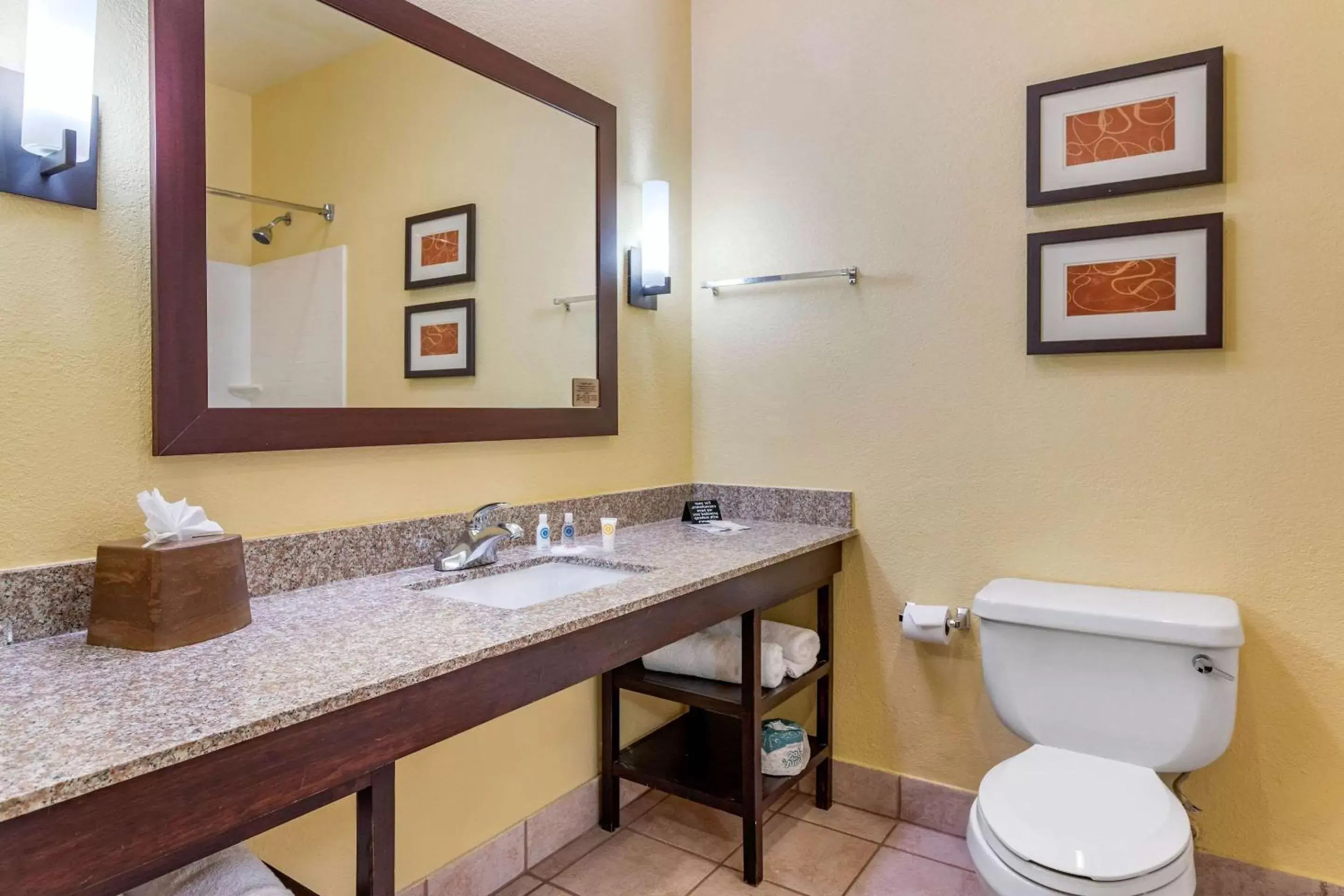 Bathroom in Comfort Suites Houston Galleria