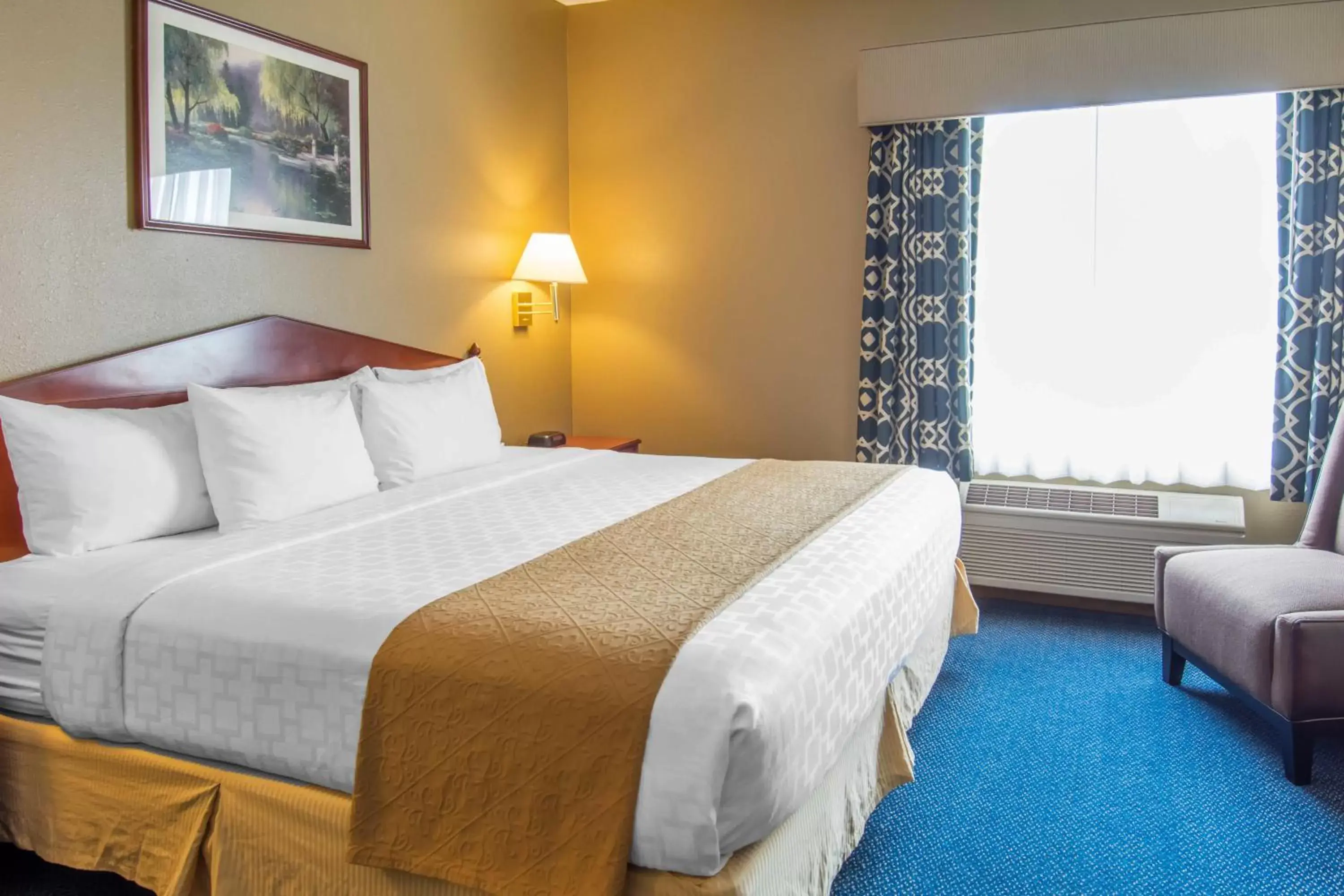 King Suite in Quality Inn & Suites of Liberty Lake