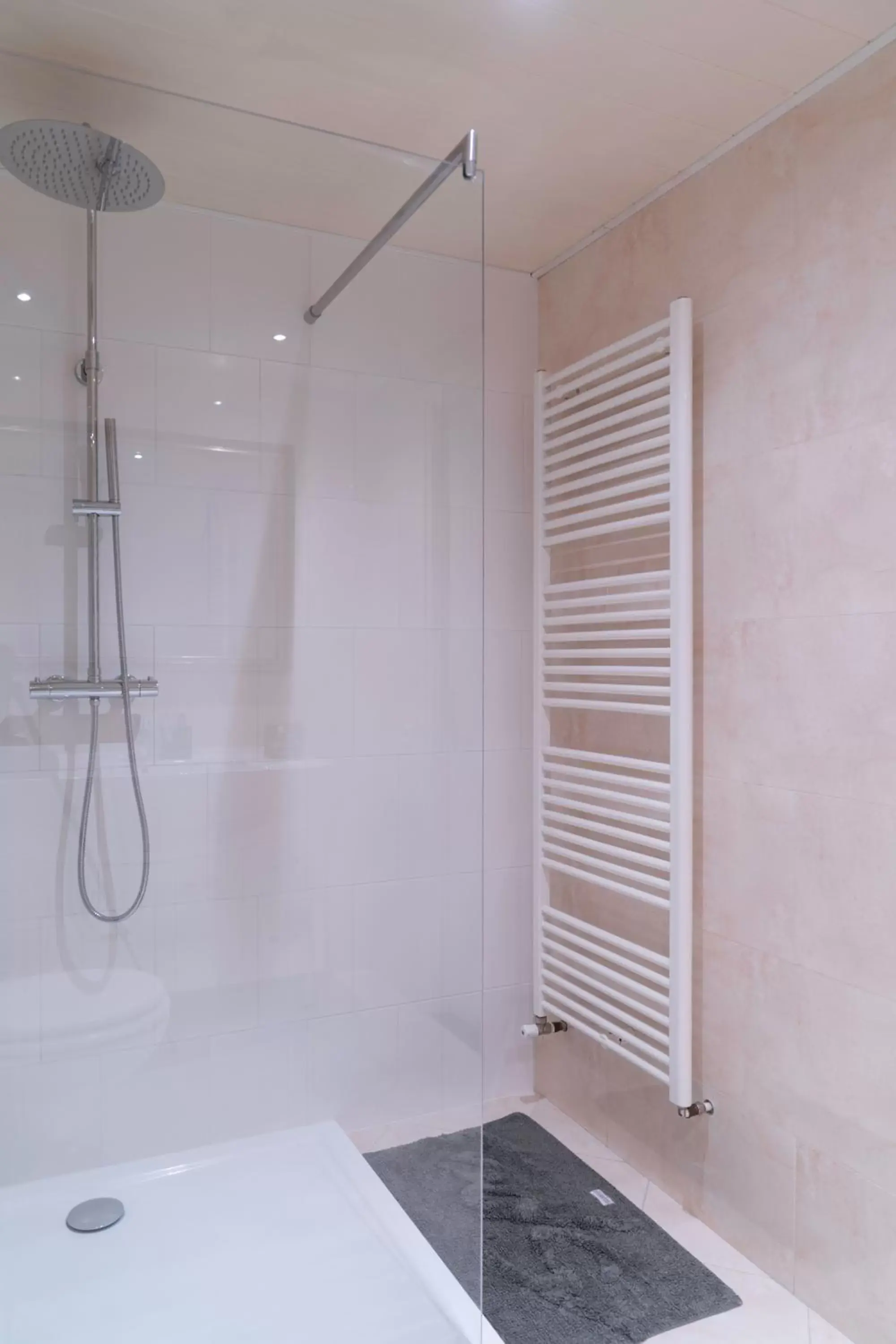 Shower, Bathroom in CENTRUM-MARIASTRAAT-APELDOORN