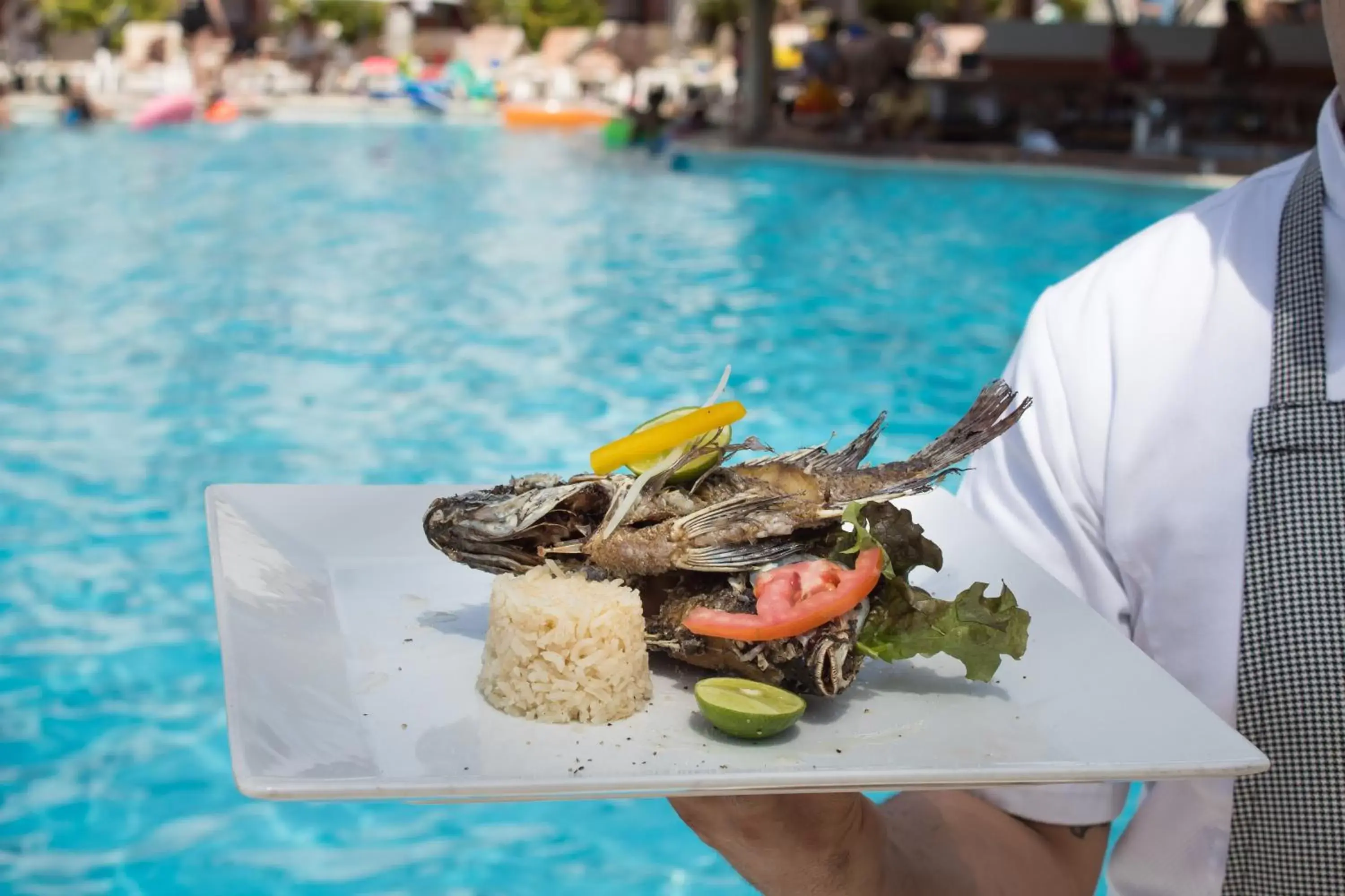 Food and drinks, Swimming Pool in Plaza Pelicanos Club Beach Resort All Inclusive