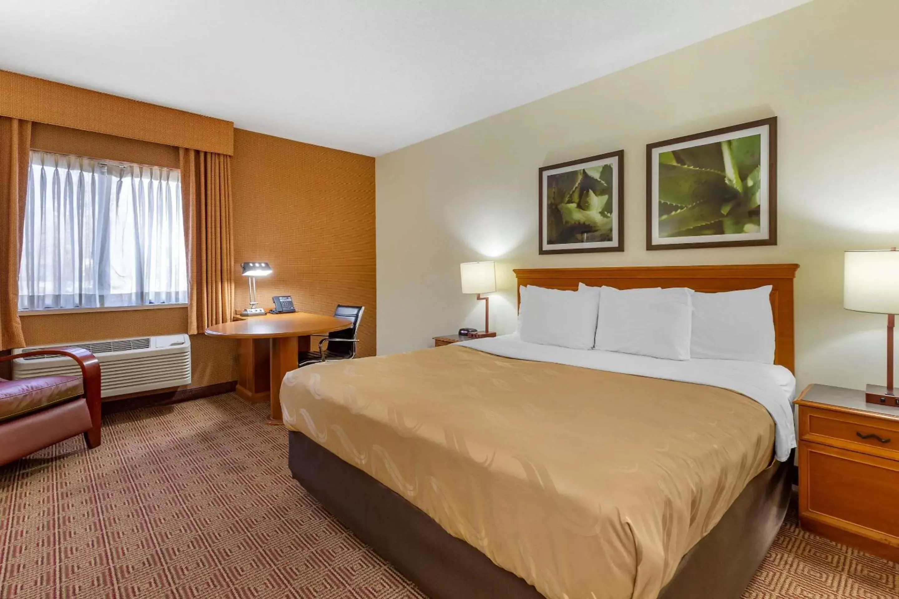 Photo of the whole room, Bed in Quality Inn & Suites Raleigh Durham Airport