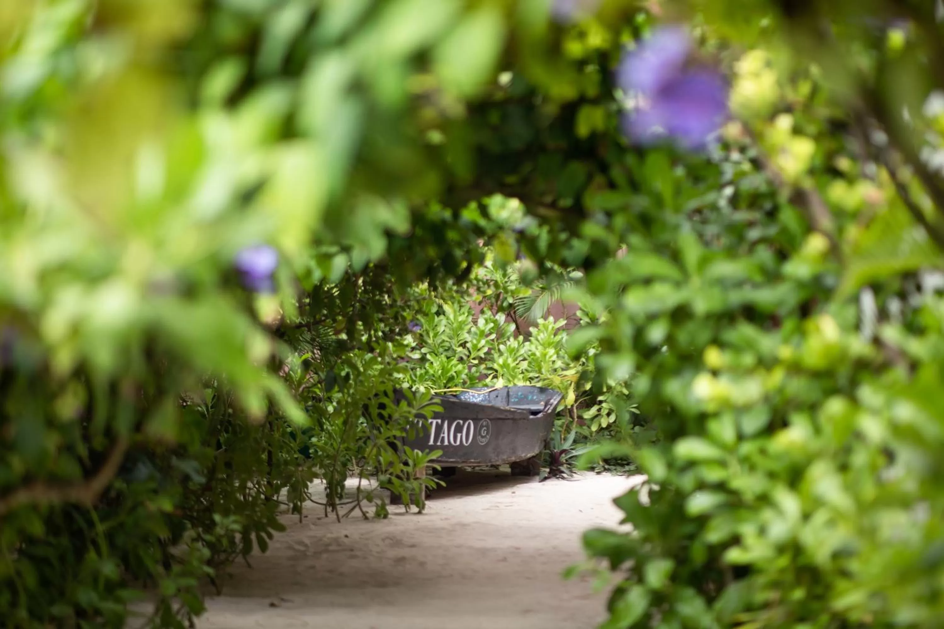 Garden in Tago Tulum by G Hotels