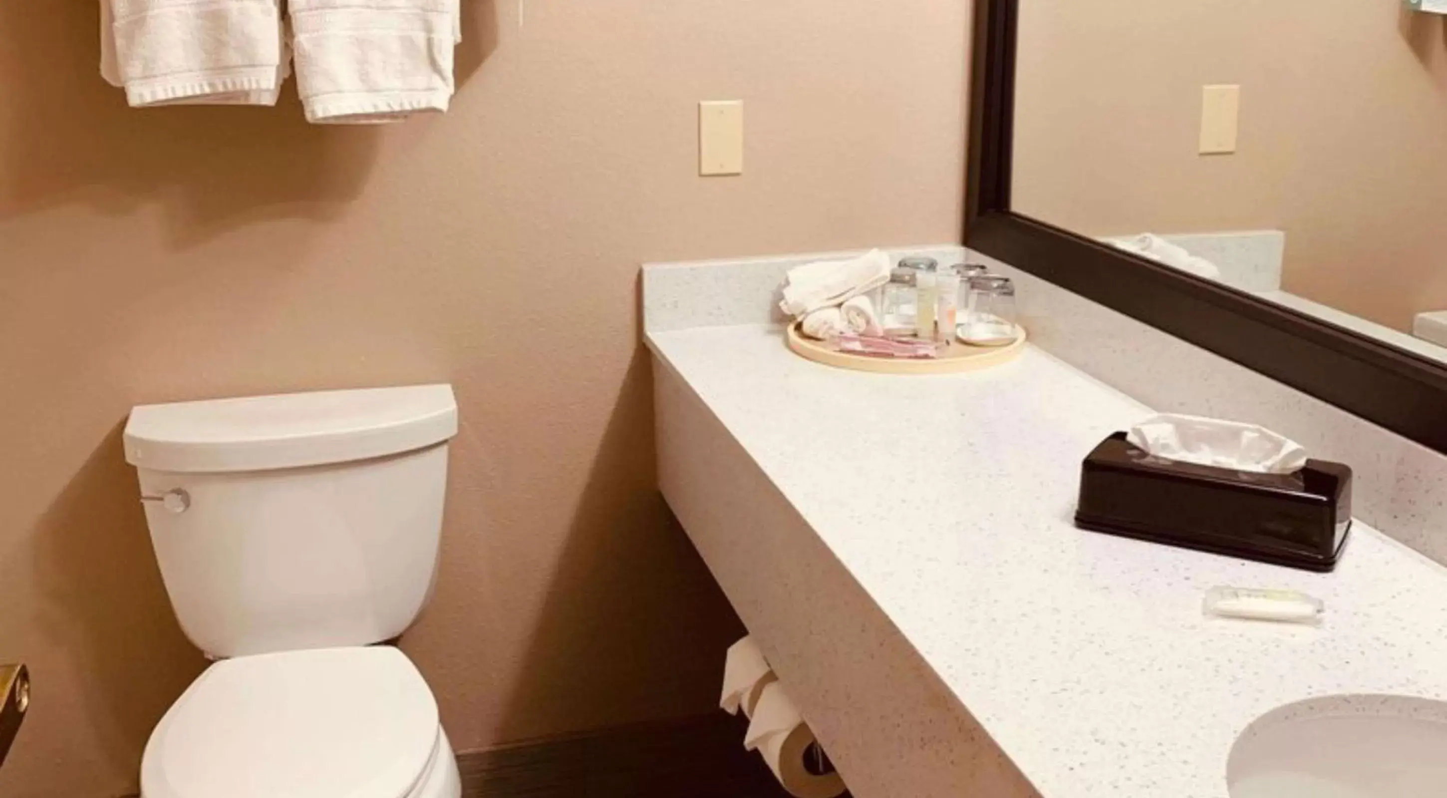 Bathroom in SureStay Plus Hotel by Best Western Plano