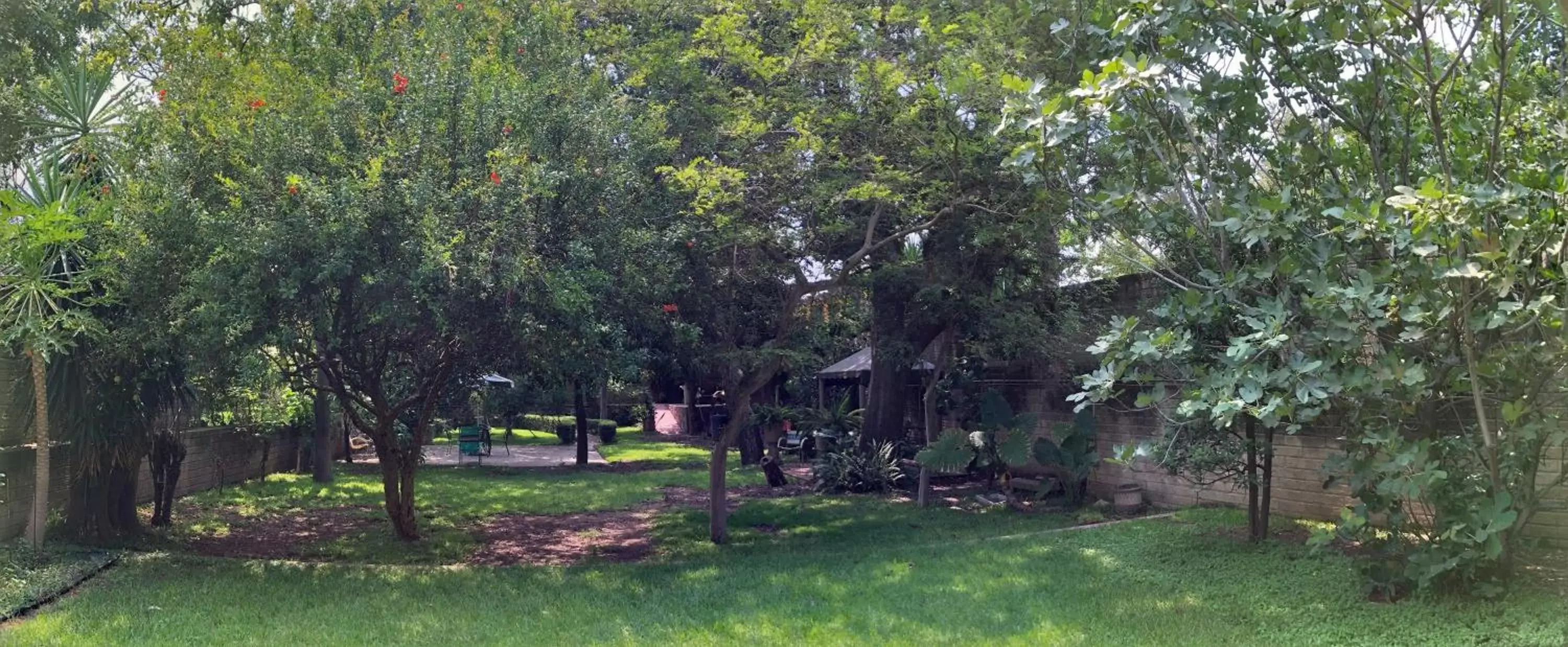 Garden in Casa del Retoño