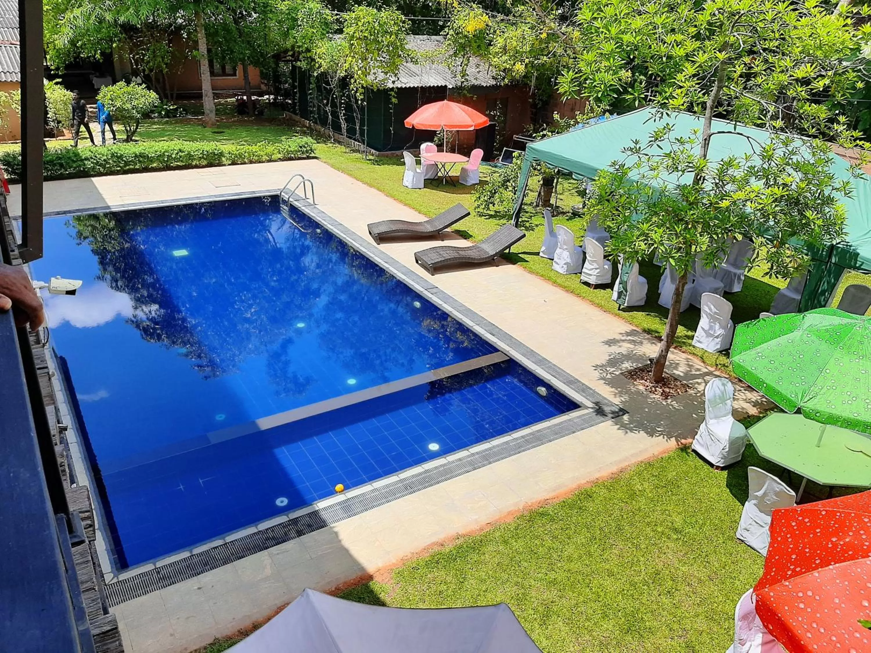 Swimming pool in Honey Tree Polonnaruwa