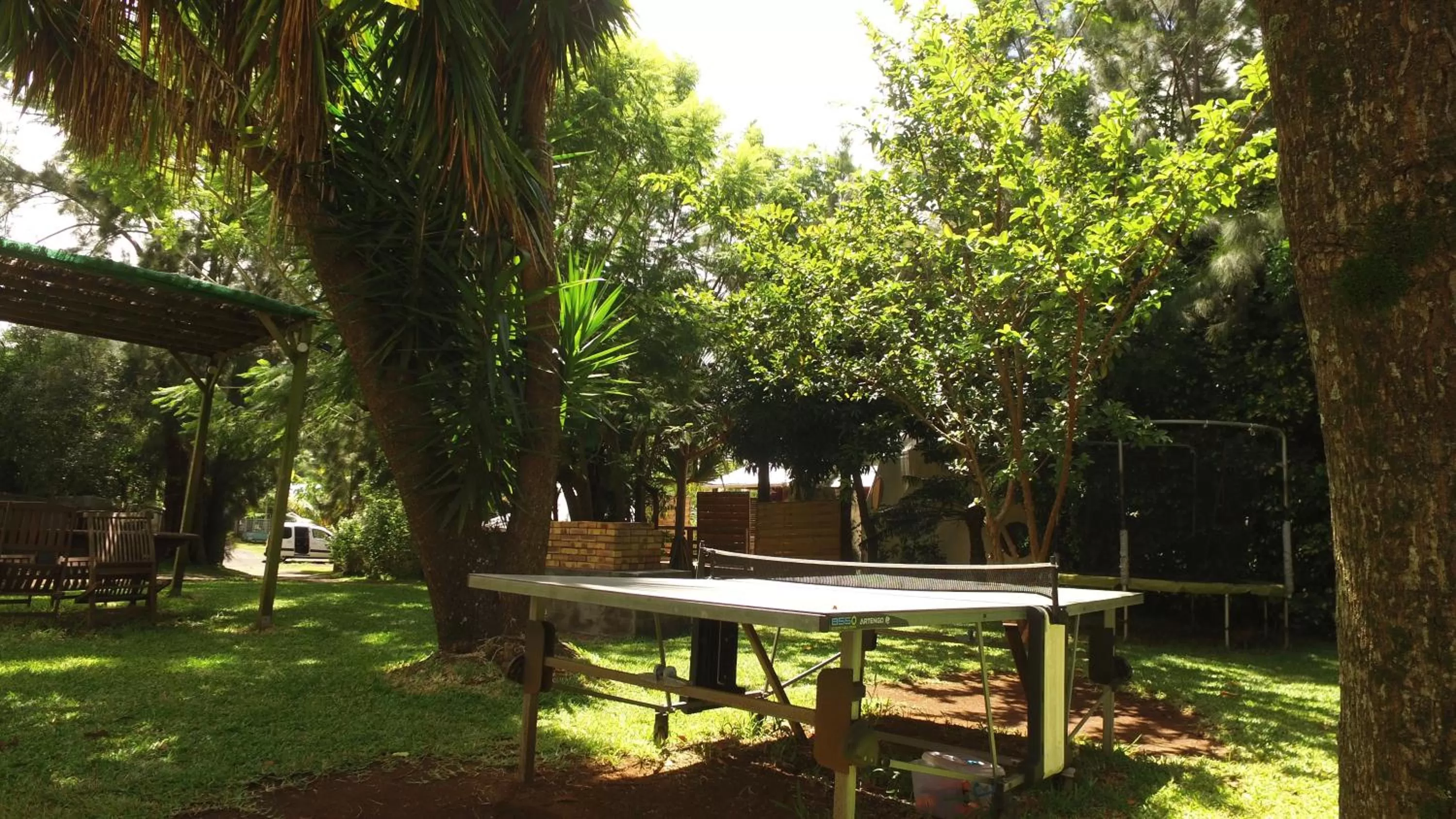 Garden in Bubble Dome Village