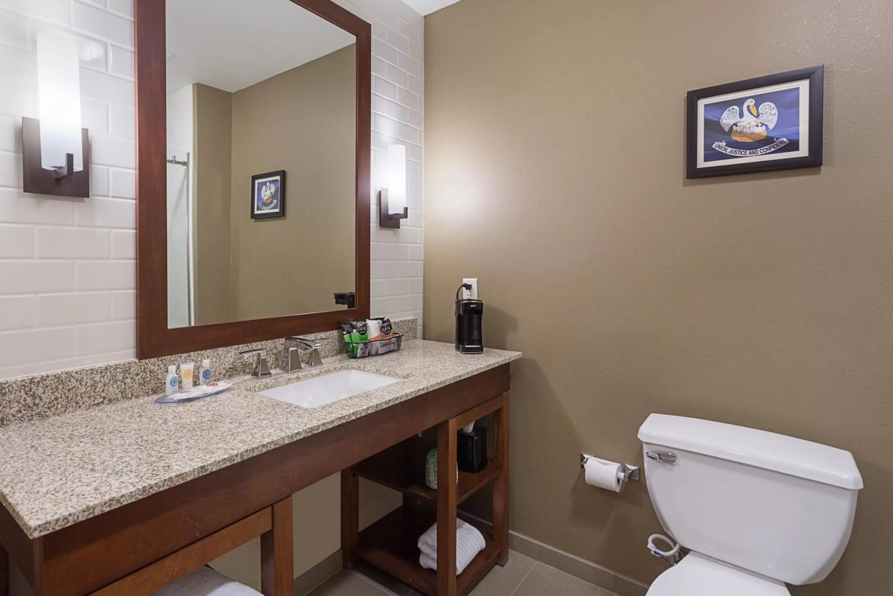 Bathroom in Comfort Inn & Suites Zachary