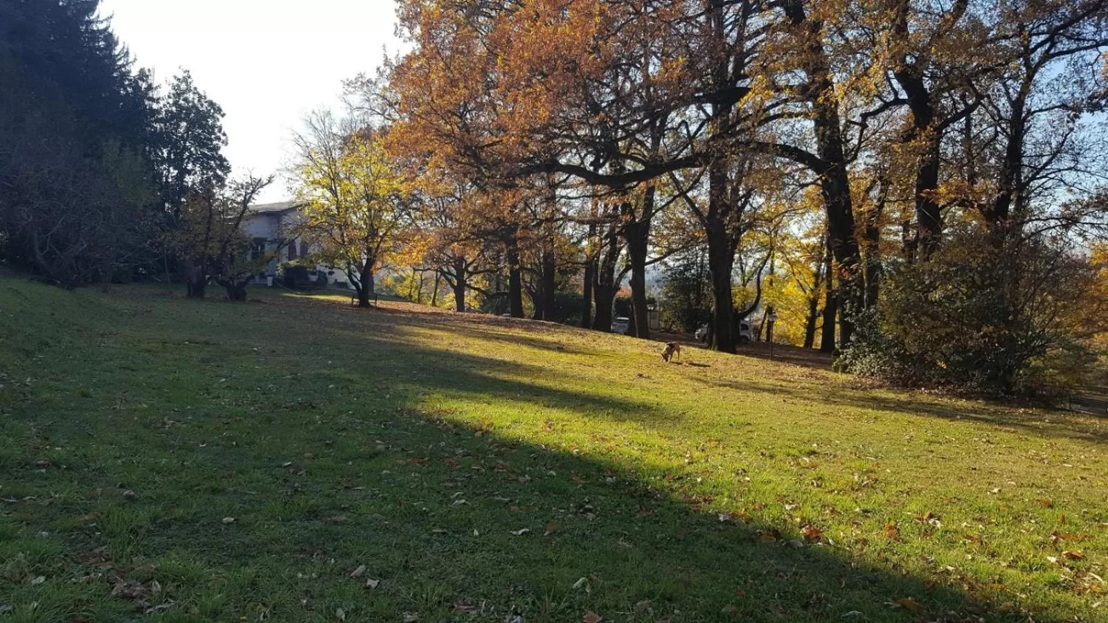 Natural landscape in "La Selvetta" bed and breakfast